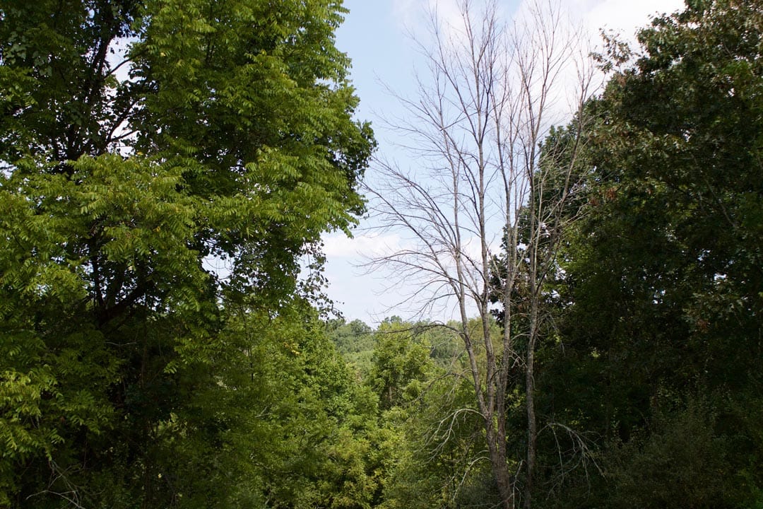 Heritage Hollow Tract 23 photo 13