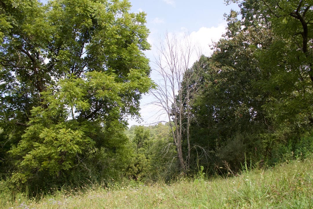 Heritage Hollow Tract 23 photo 14