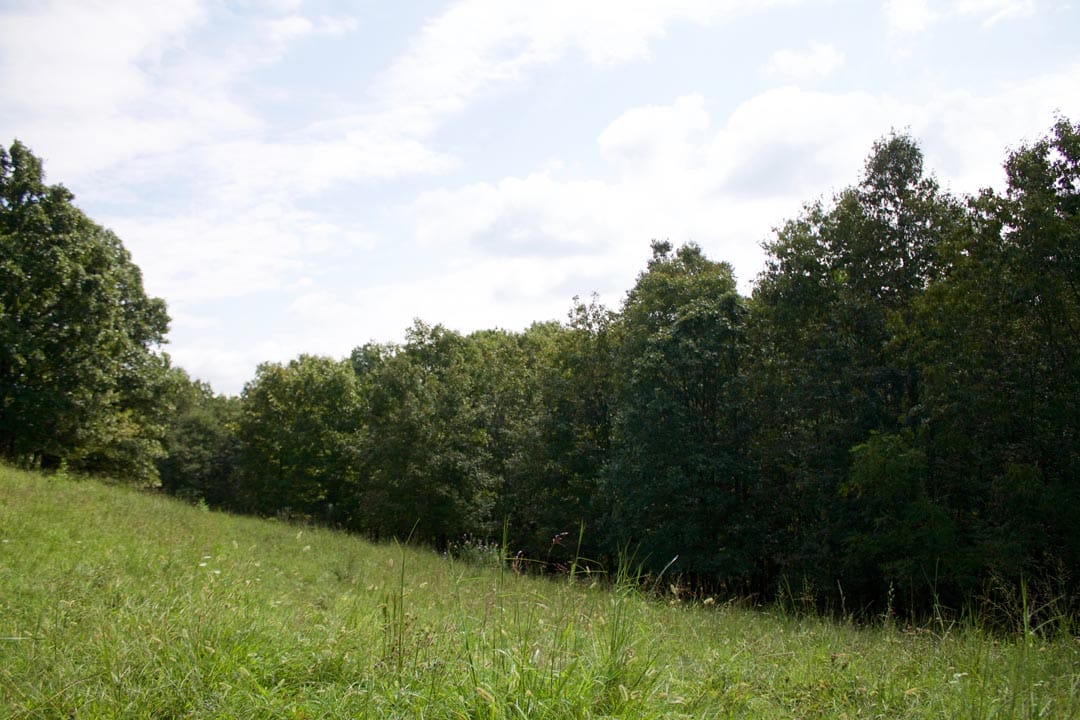 Heritage Hollow Tract 23 photo 15