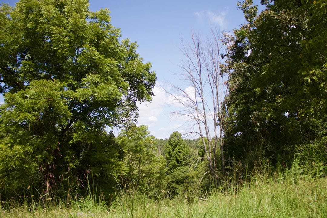 Heritage Hollow Tract 23 photo 16