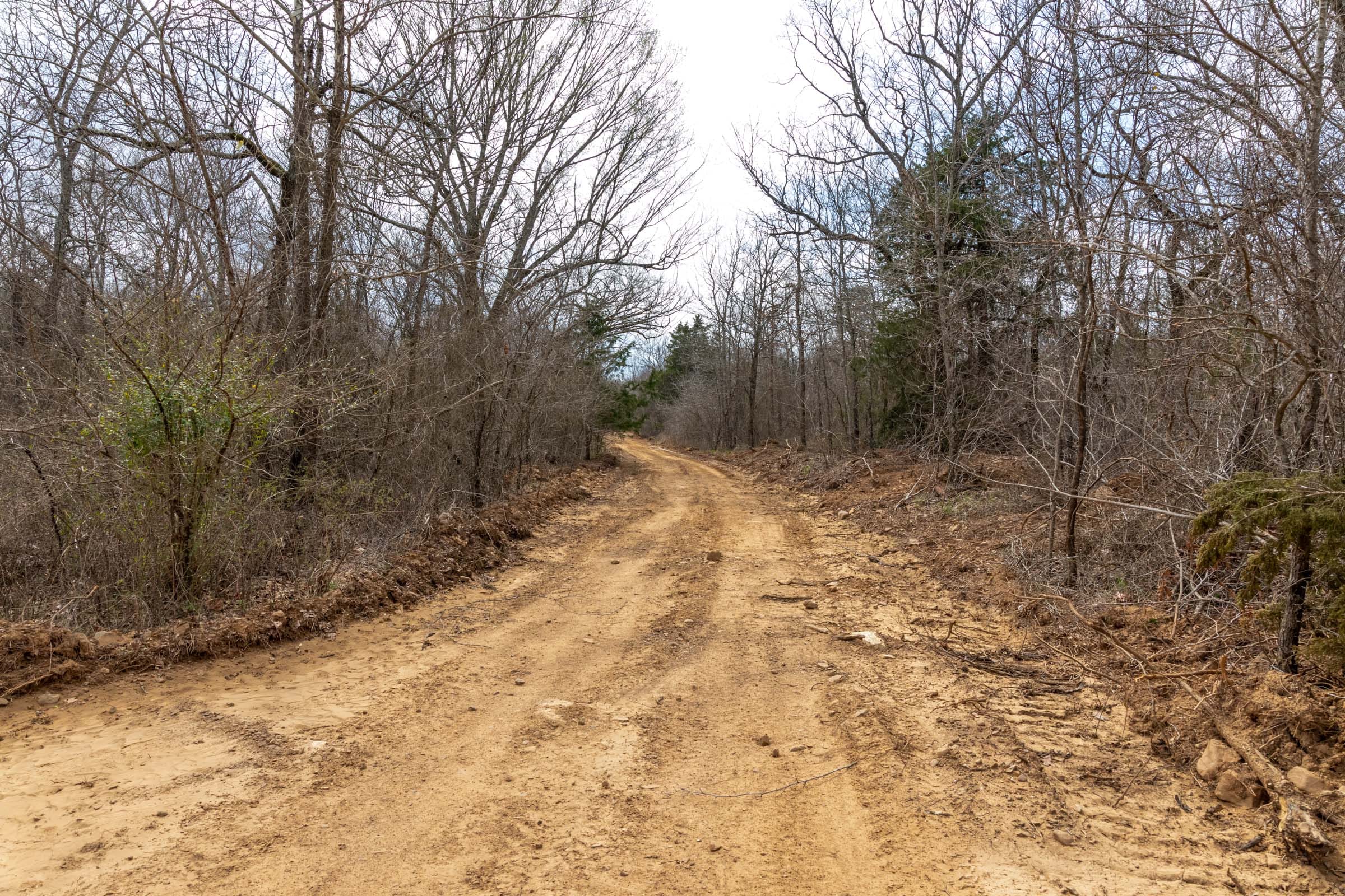 Stone Bridge Phase III Tract 163 photo 2