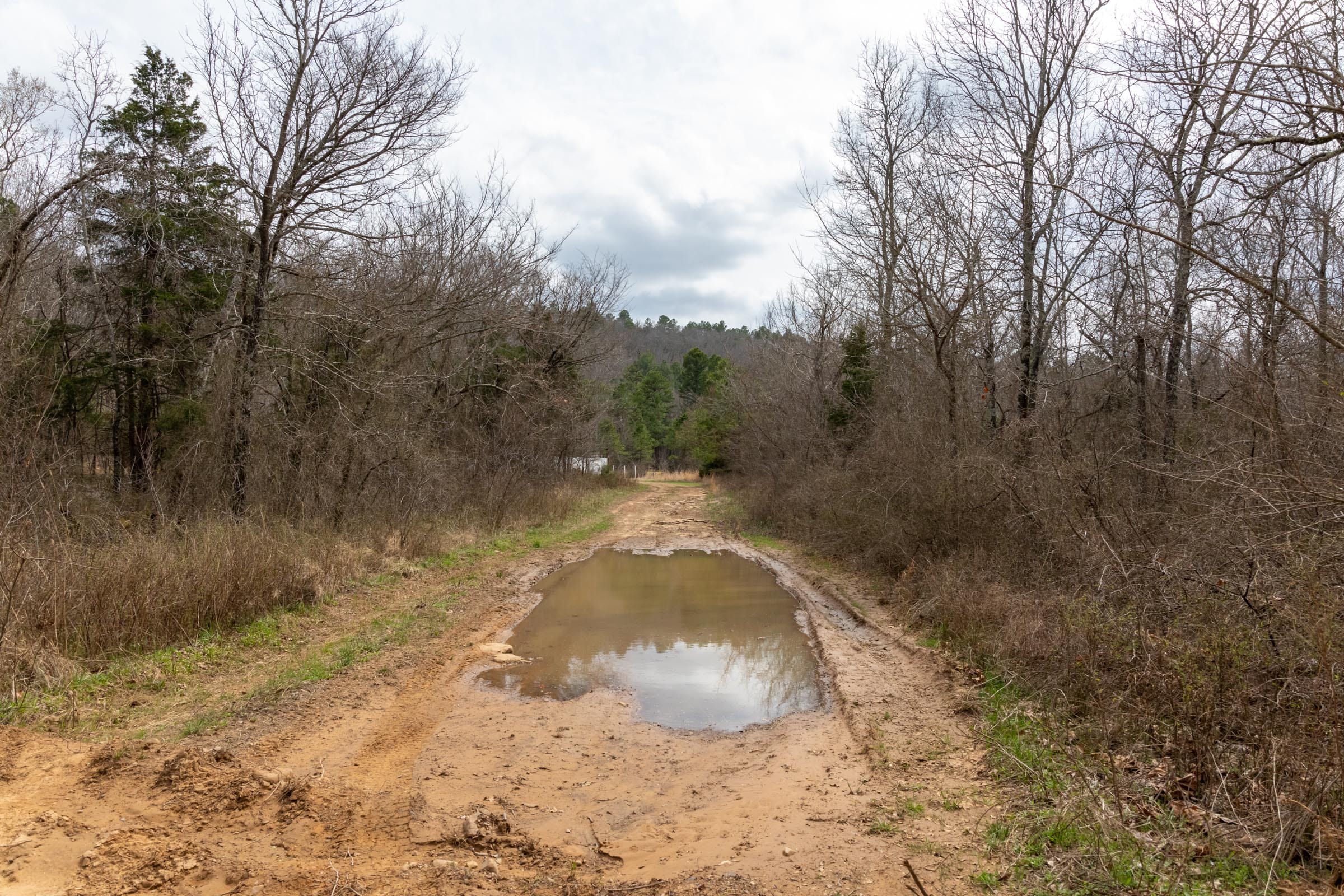 Stone Bridge Phase III Tract 163 photo 17