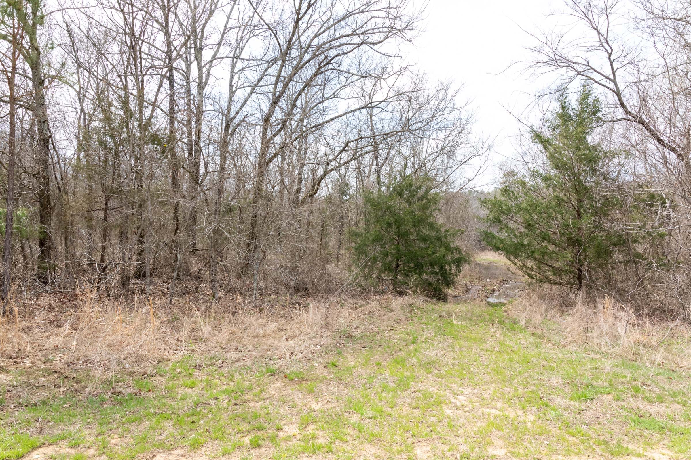 Stone Bridge Phase III Tract 163 photo 6