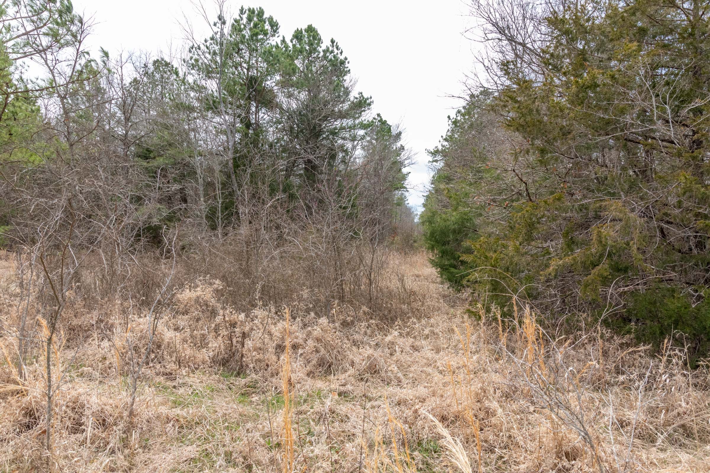 Stone Bridge Phase III Tract 163 photo 7