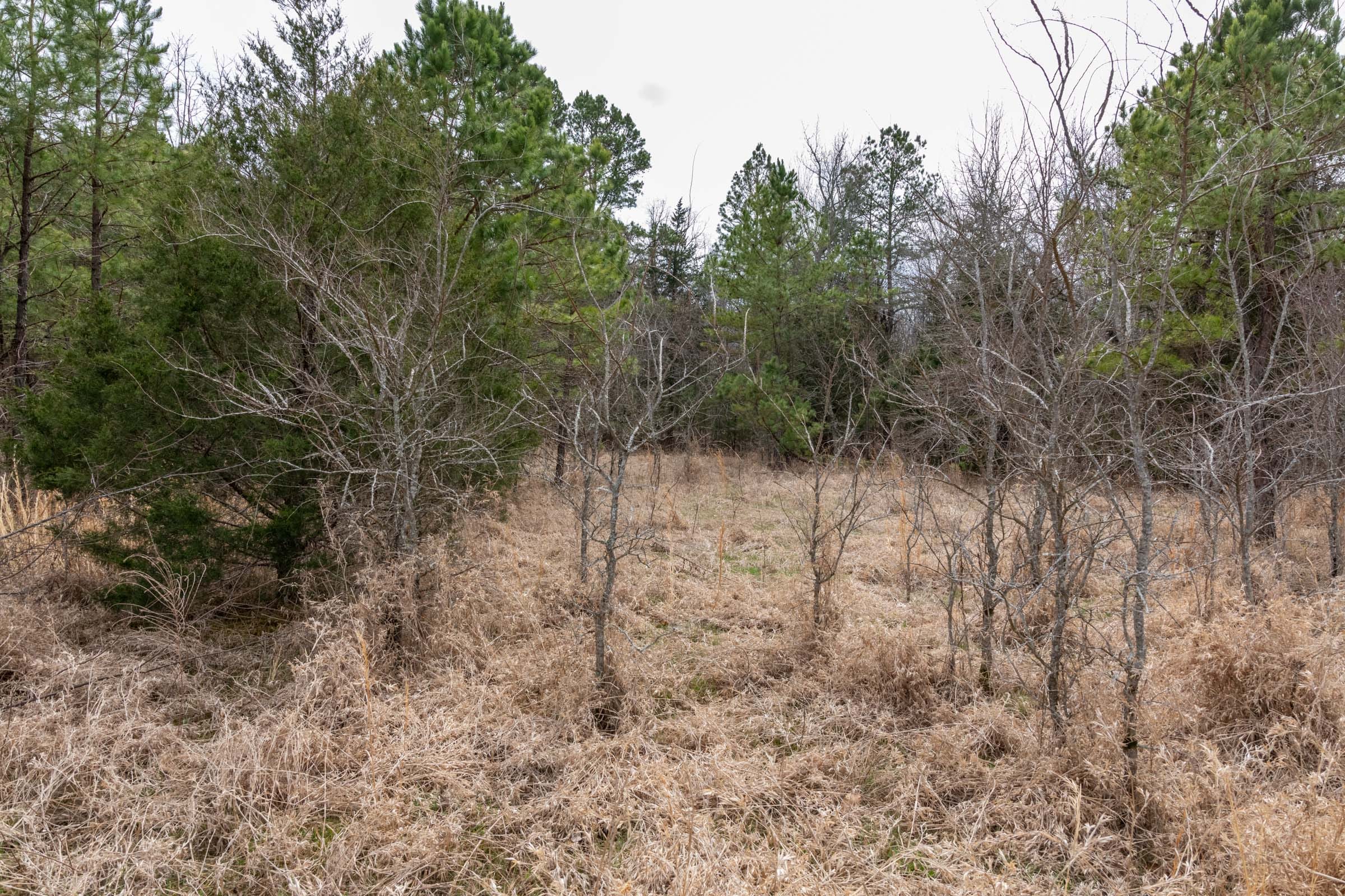 Stone Bridge Phase III Tract 163 photo 8