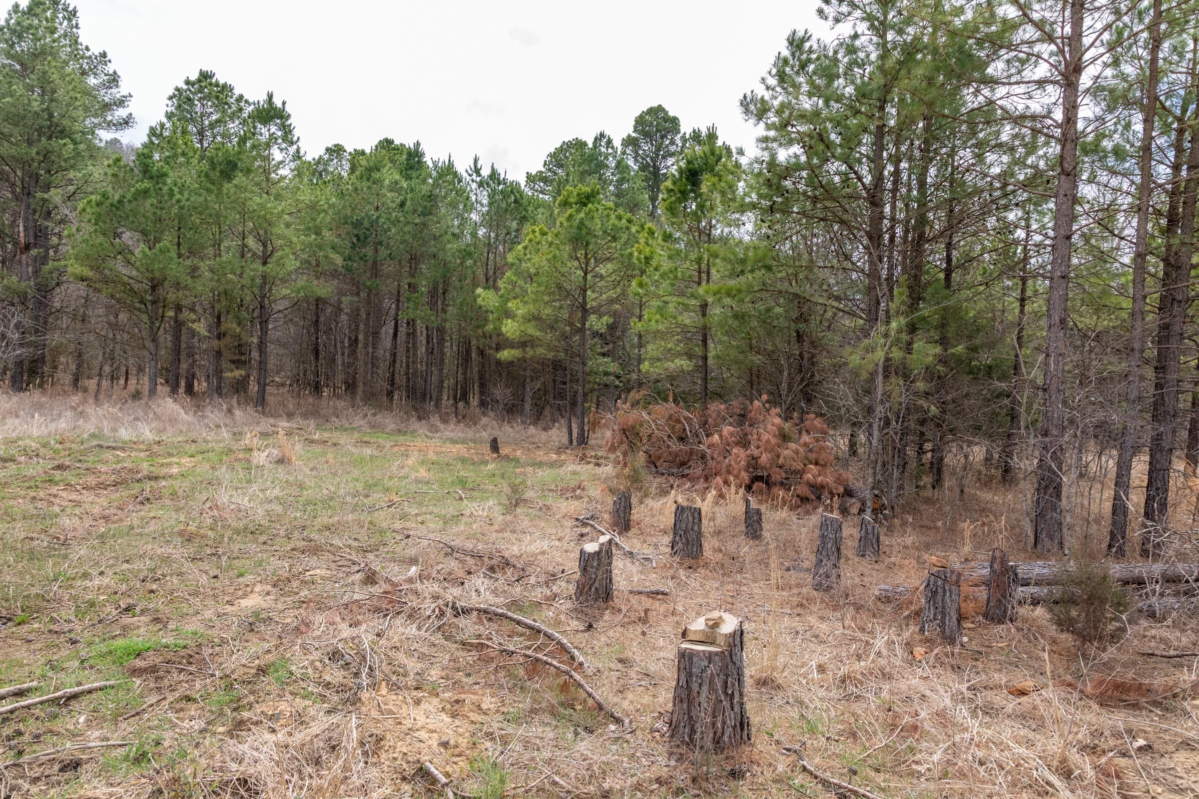 Stone Bridge Phase III Tract 163 photo 10