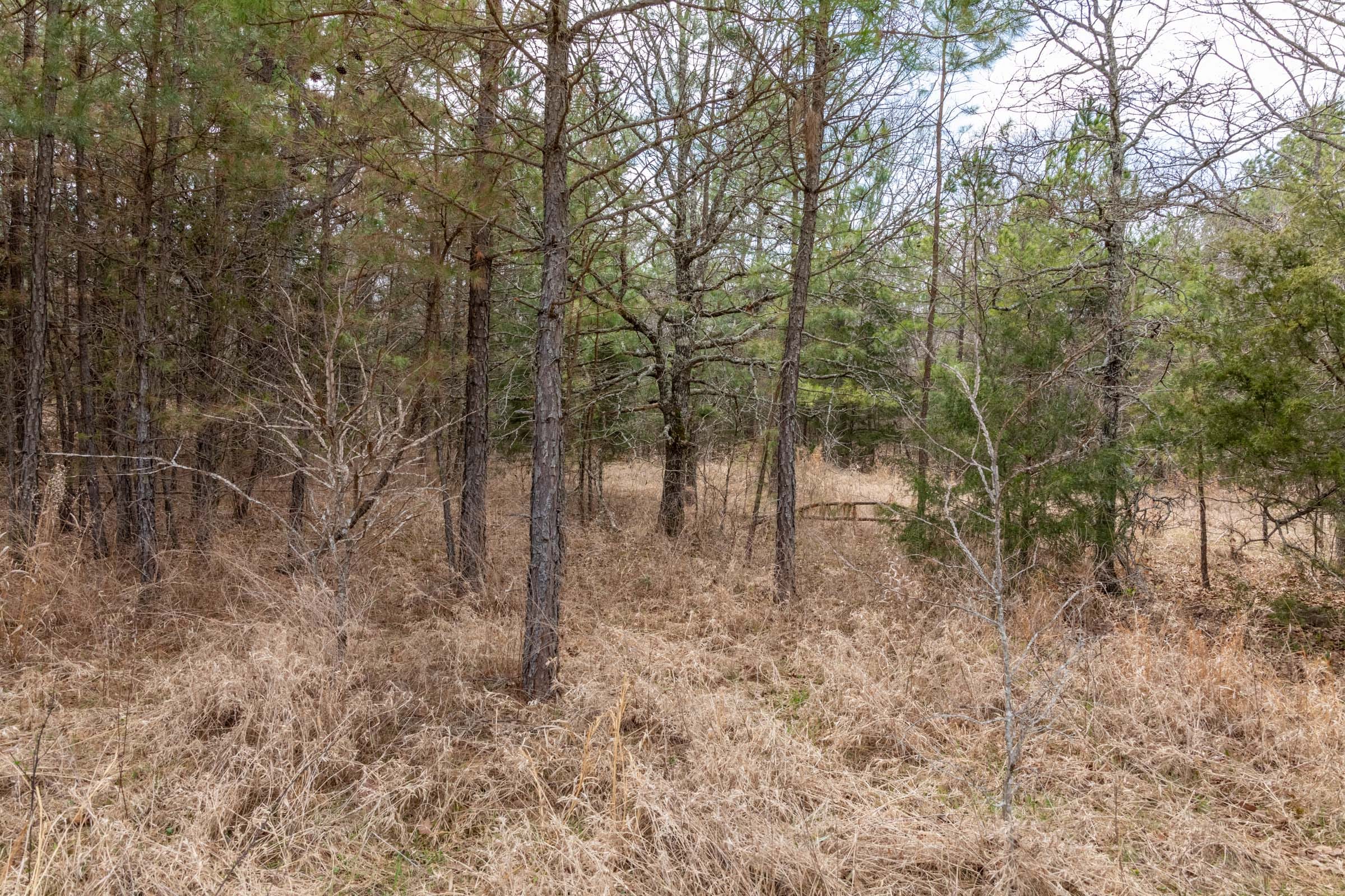 Stone Bridge Phase III Tract 163 photo 11