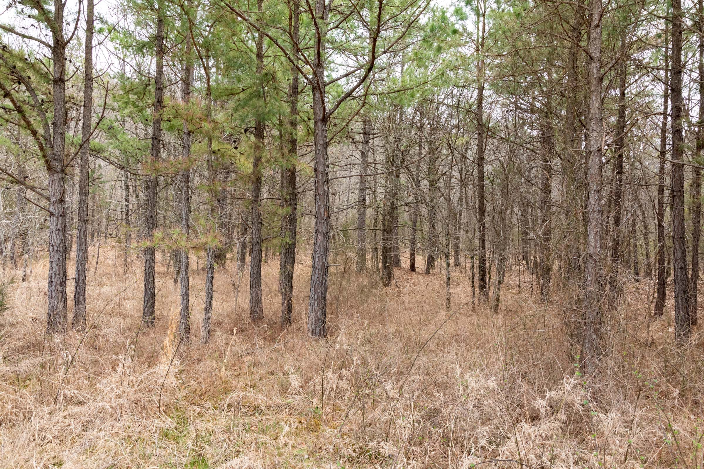 Stone Bridge Phase III Tract 163 photo 12