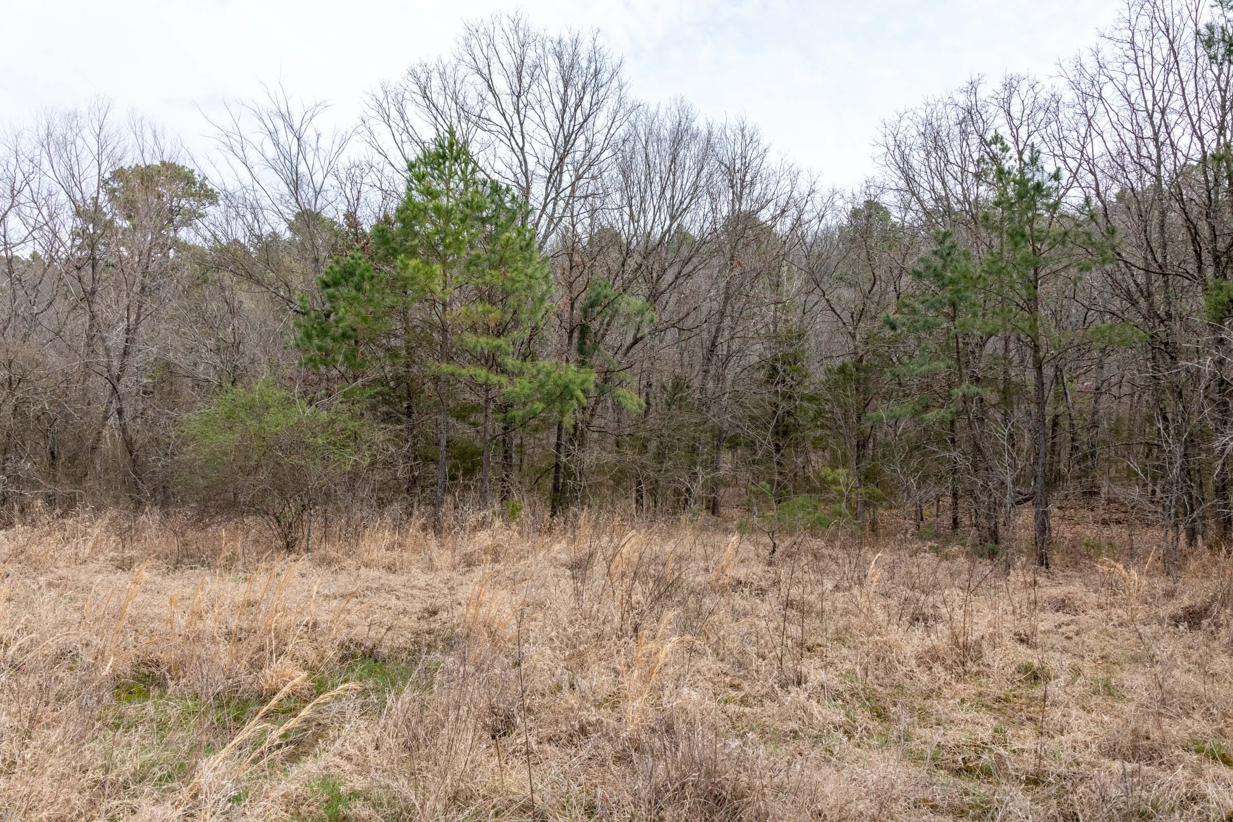 Stone Bridge Phase III Tract 163 photo 13