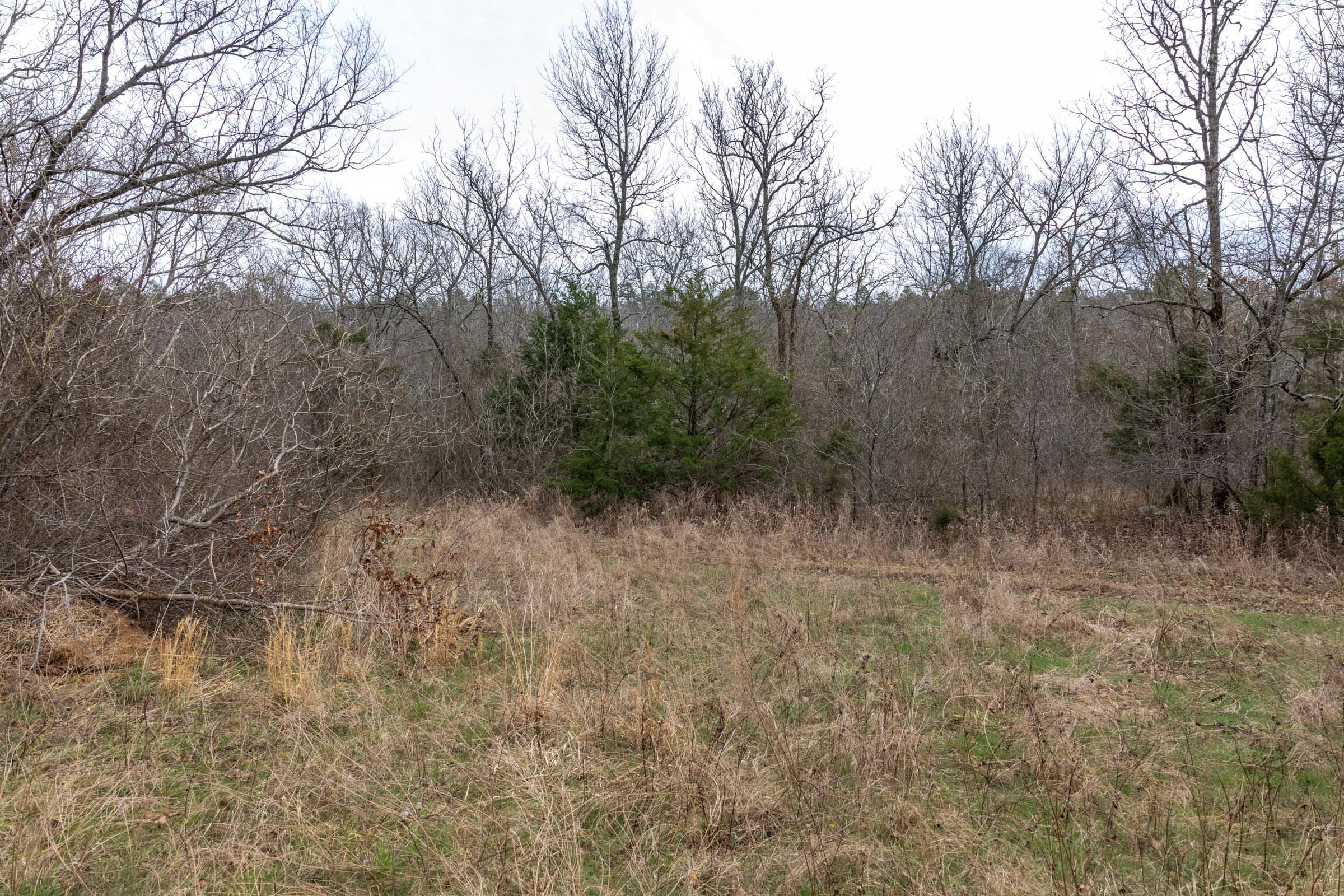 Stone Bridge Phase III Tract 163 photo 14