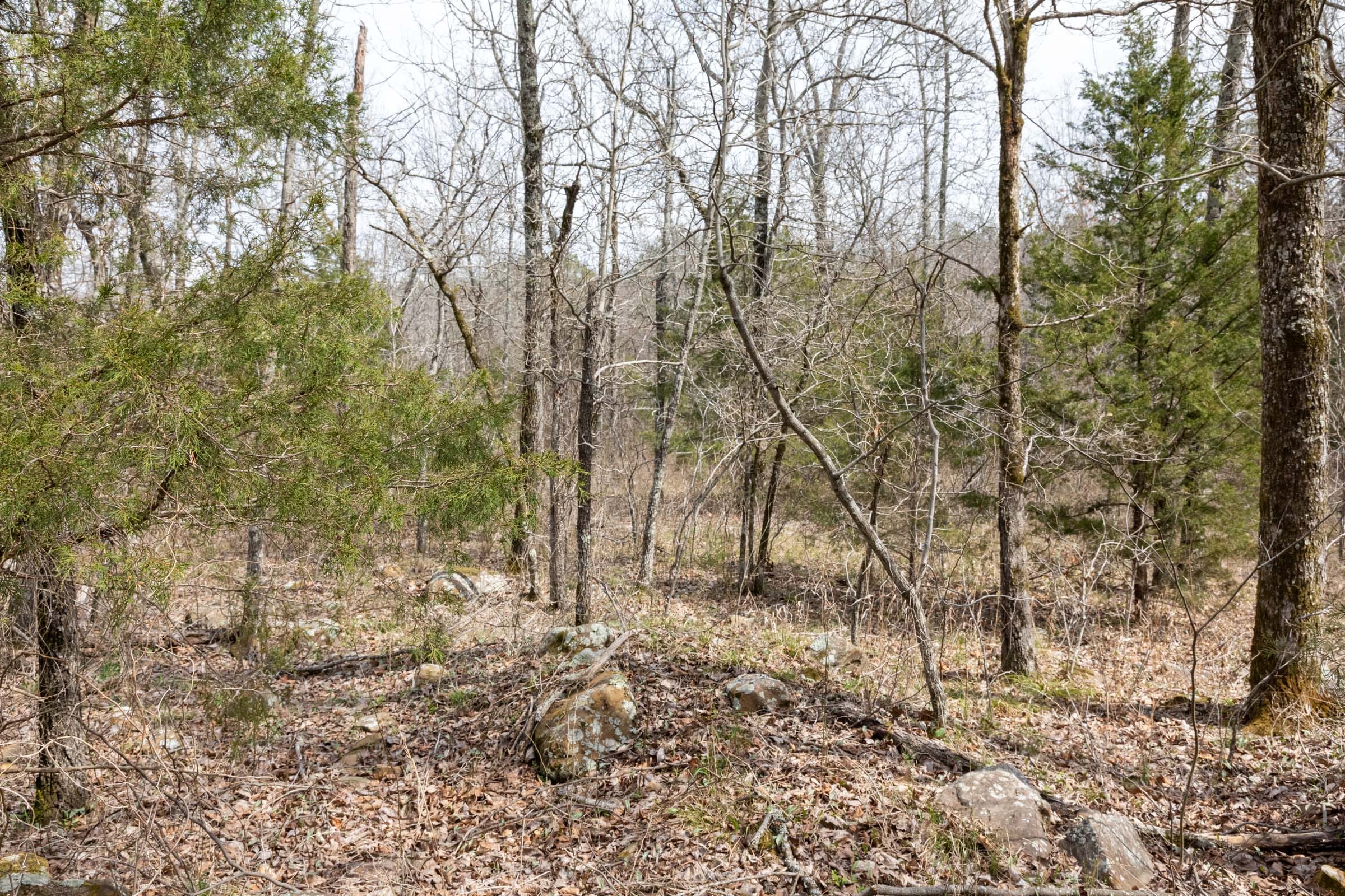 Stone Bridge Phase III Tract 163 photo 15