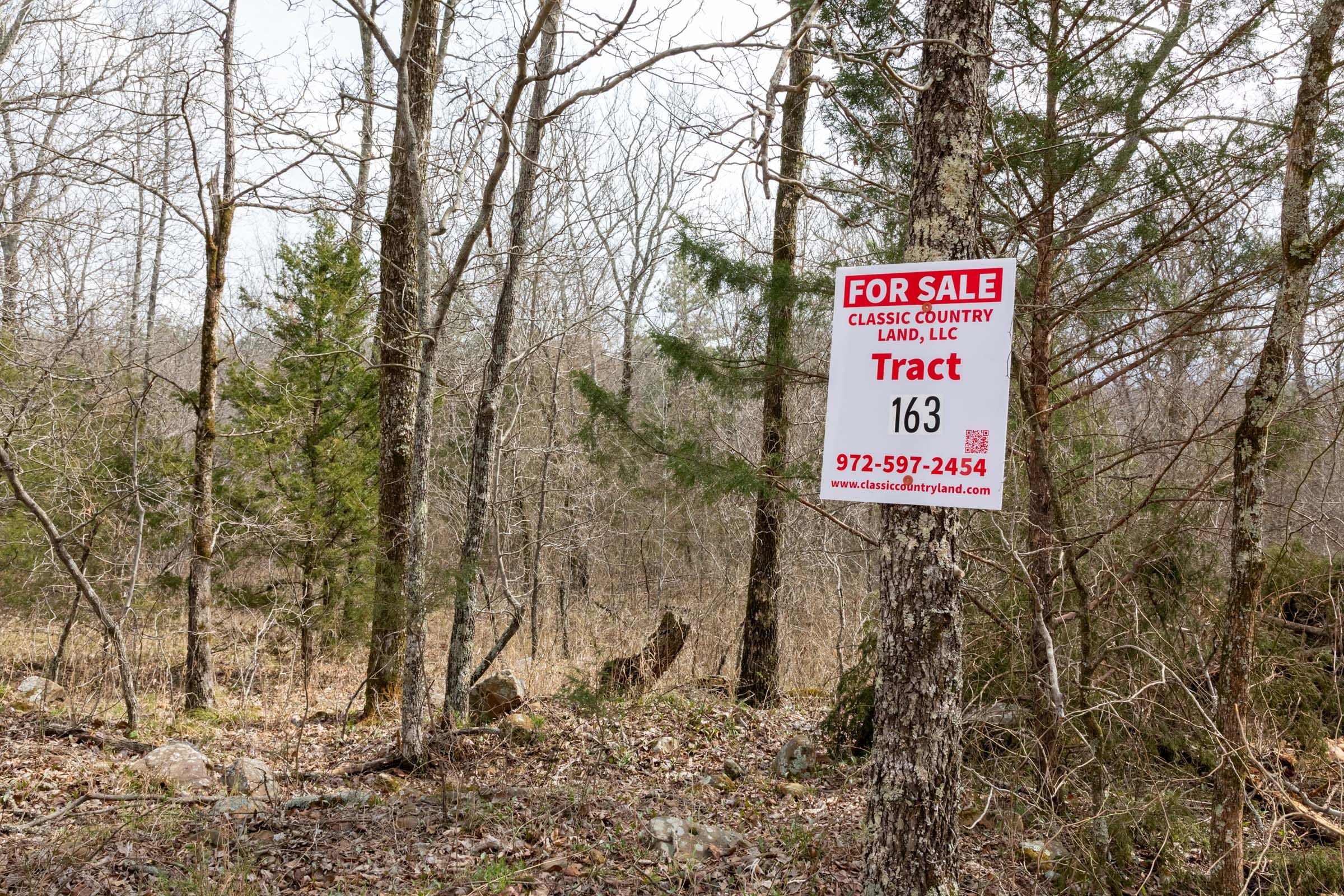 Stone Bridge Phase III Tract 163 photo 1
