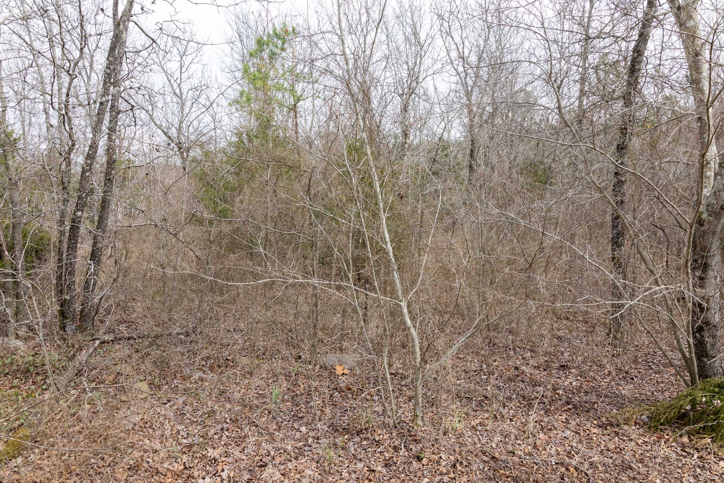Stone Bridge Phase III Tract 163 photo 16