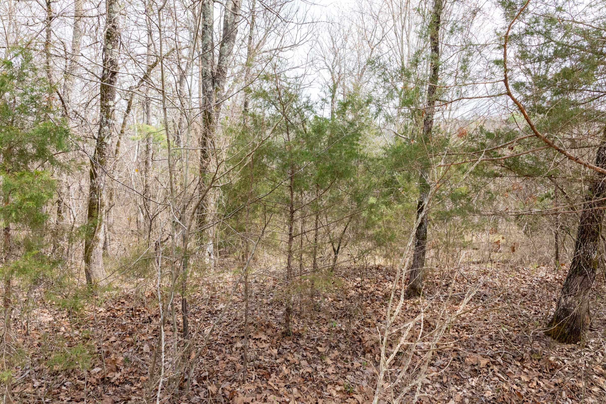 Stone Bridge Phase III Tract 163 photo 18
