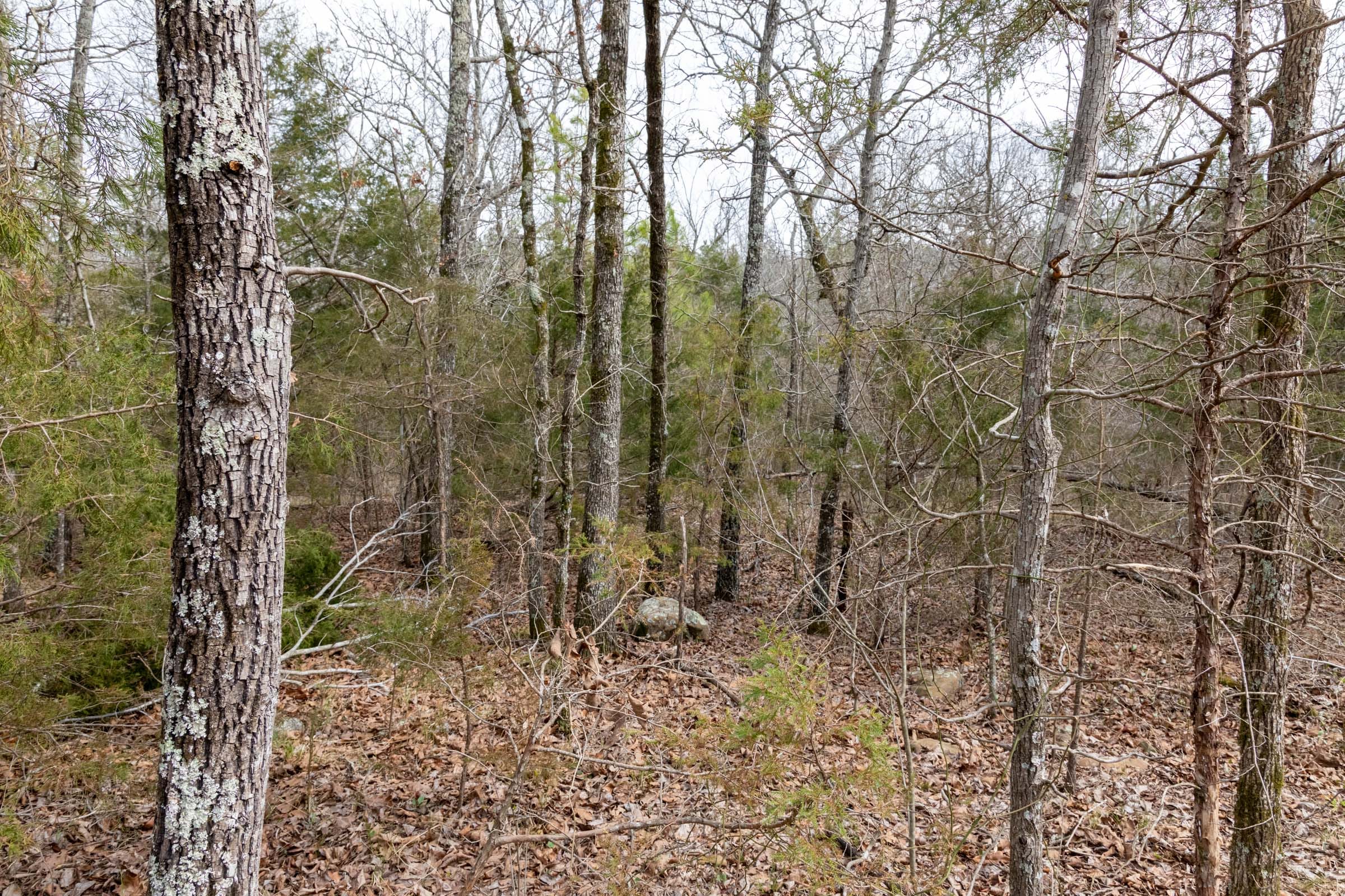 Stone Bridge Phase III Tract 163 photo 19