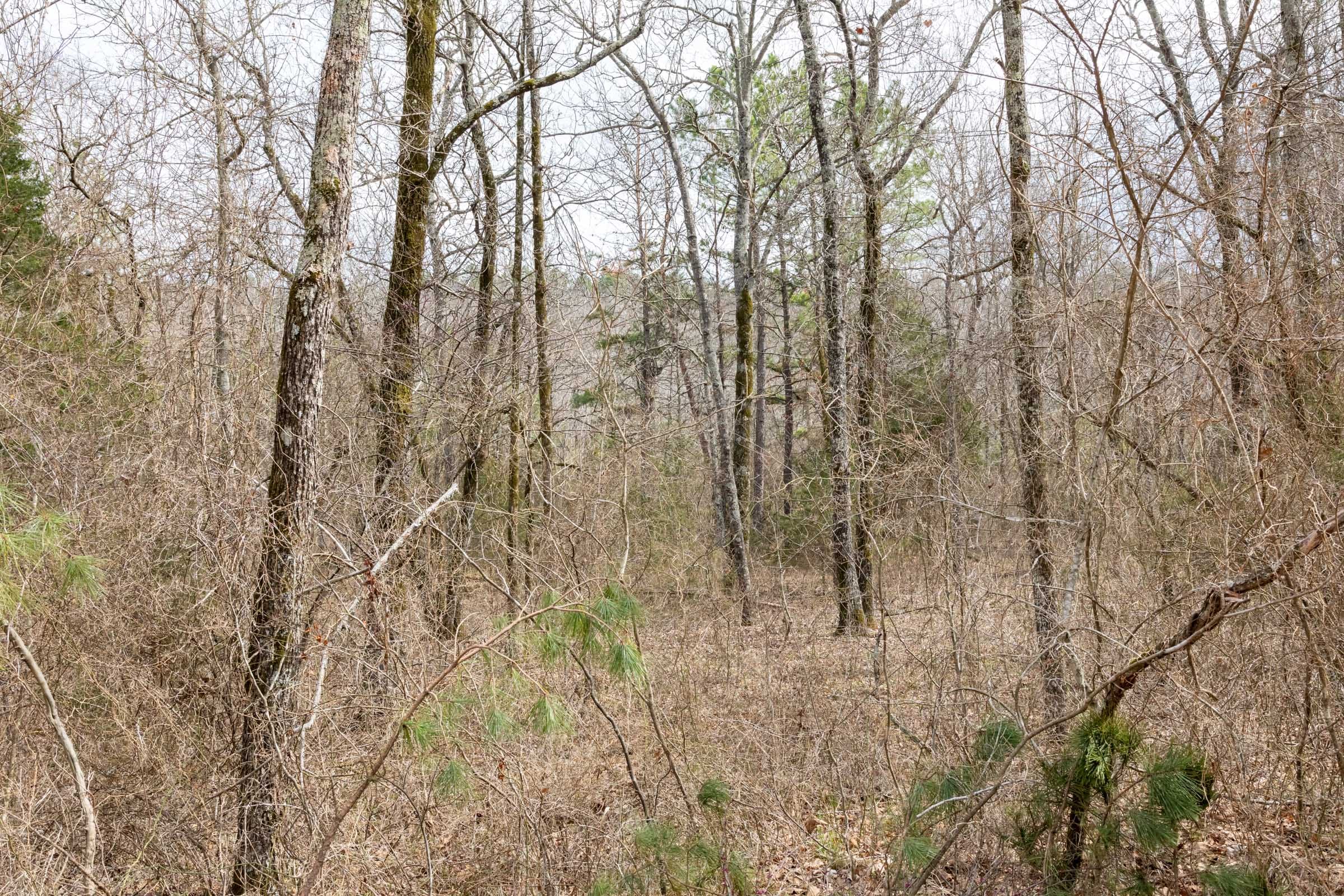 Stone Bridge Phase III Tract 163 photo 22