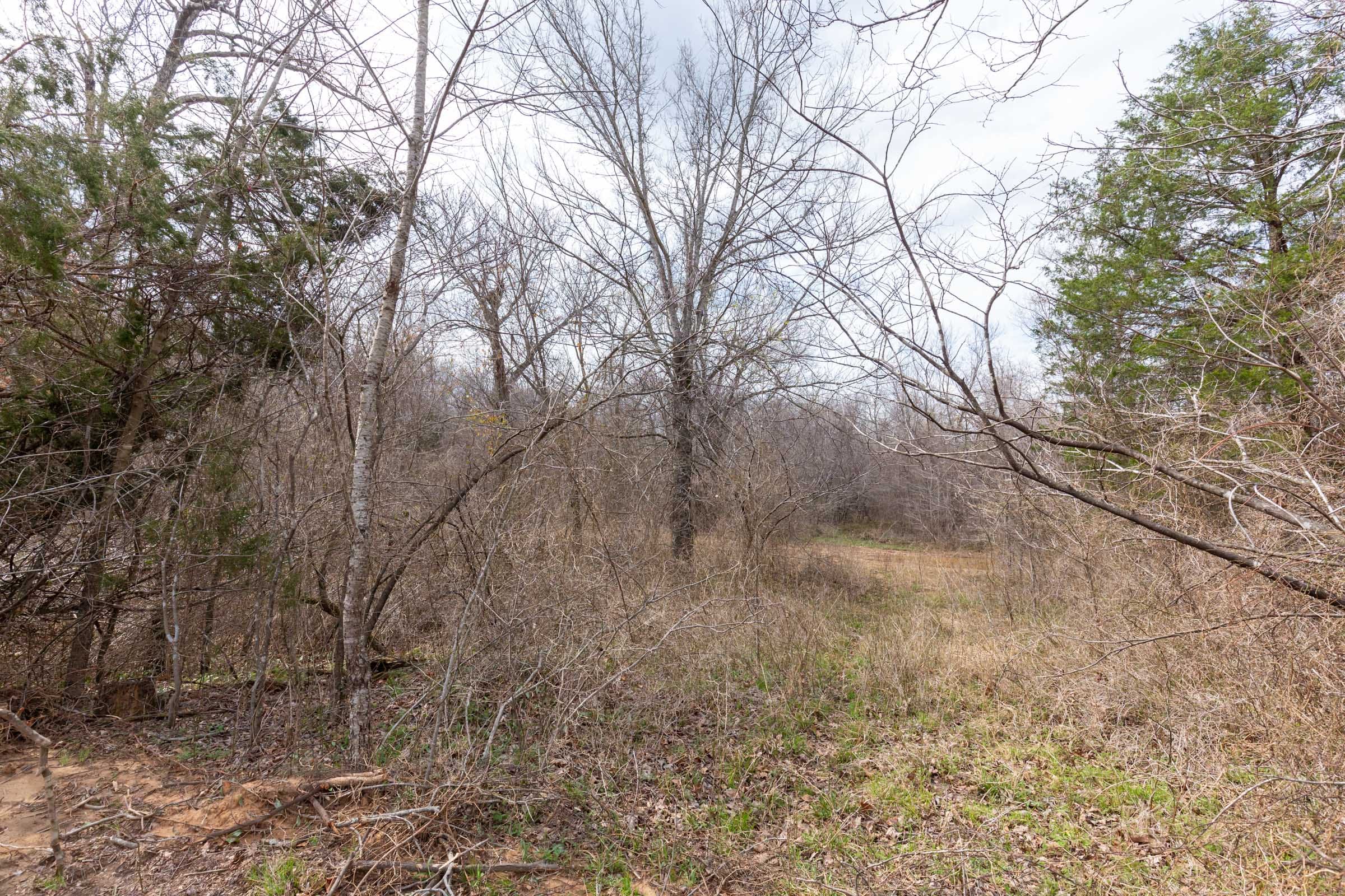 Stone Bridge Phase III Tract 154 photo 6