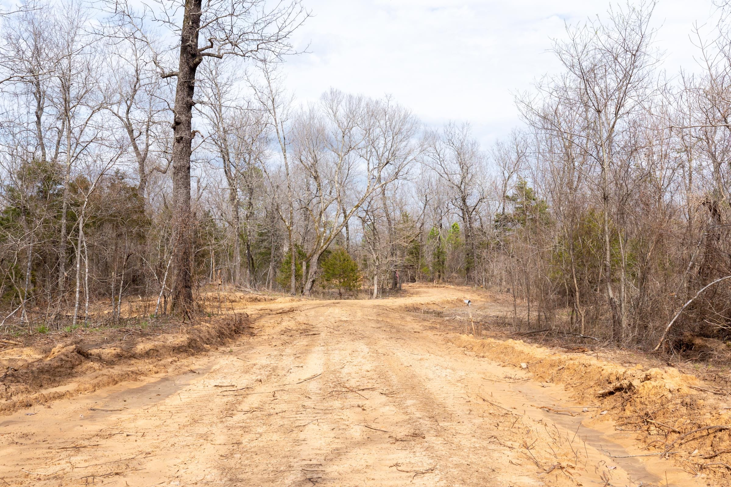Stone Bridge Phase III Tract 154 photo 8
