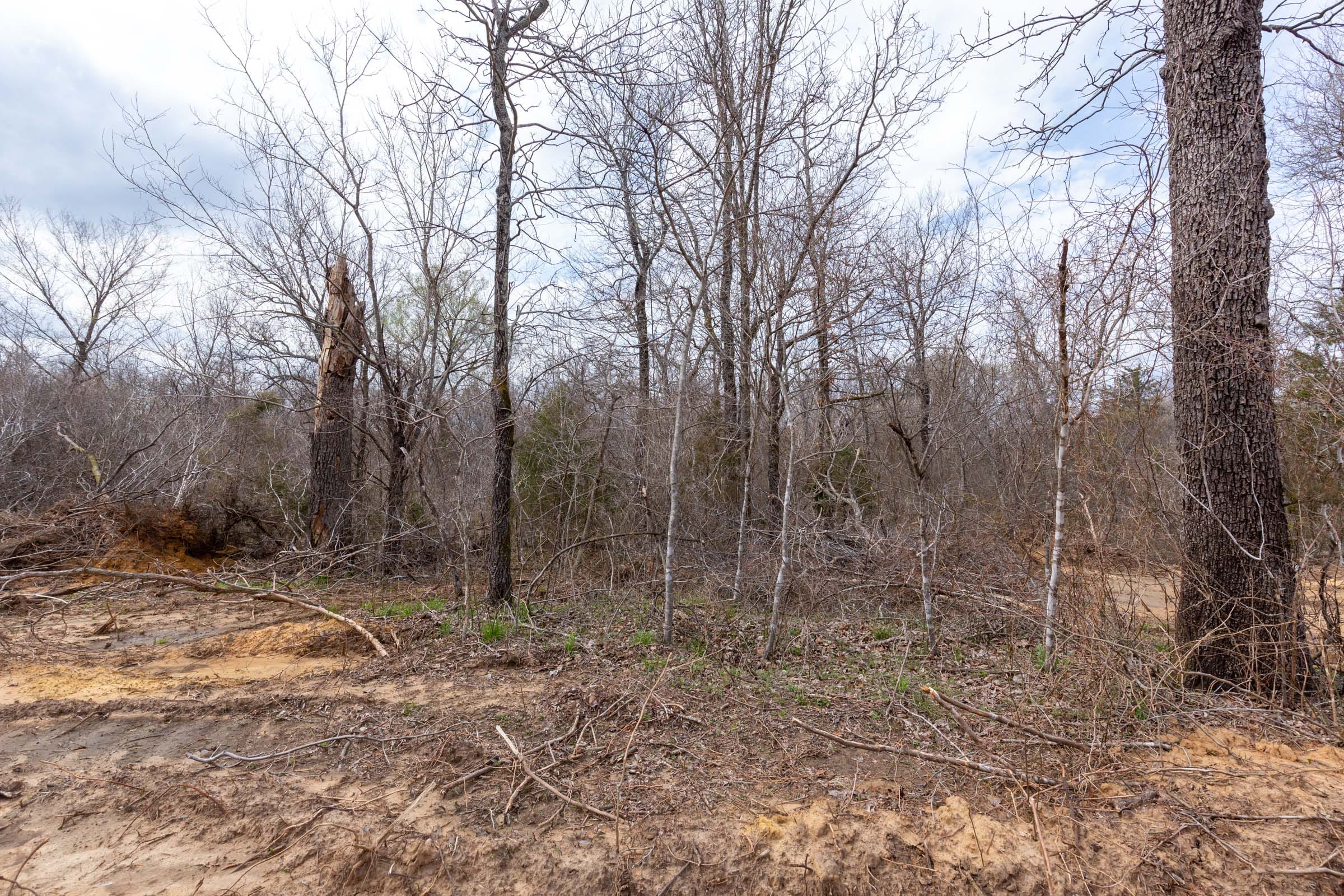 Stone Bridge Phase III Tract 154 photo 9