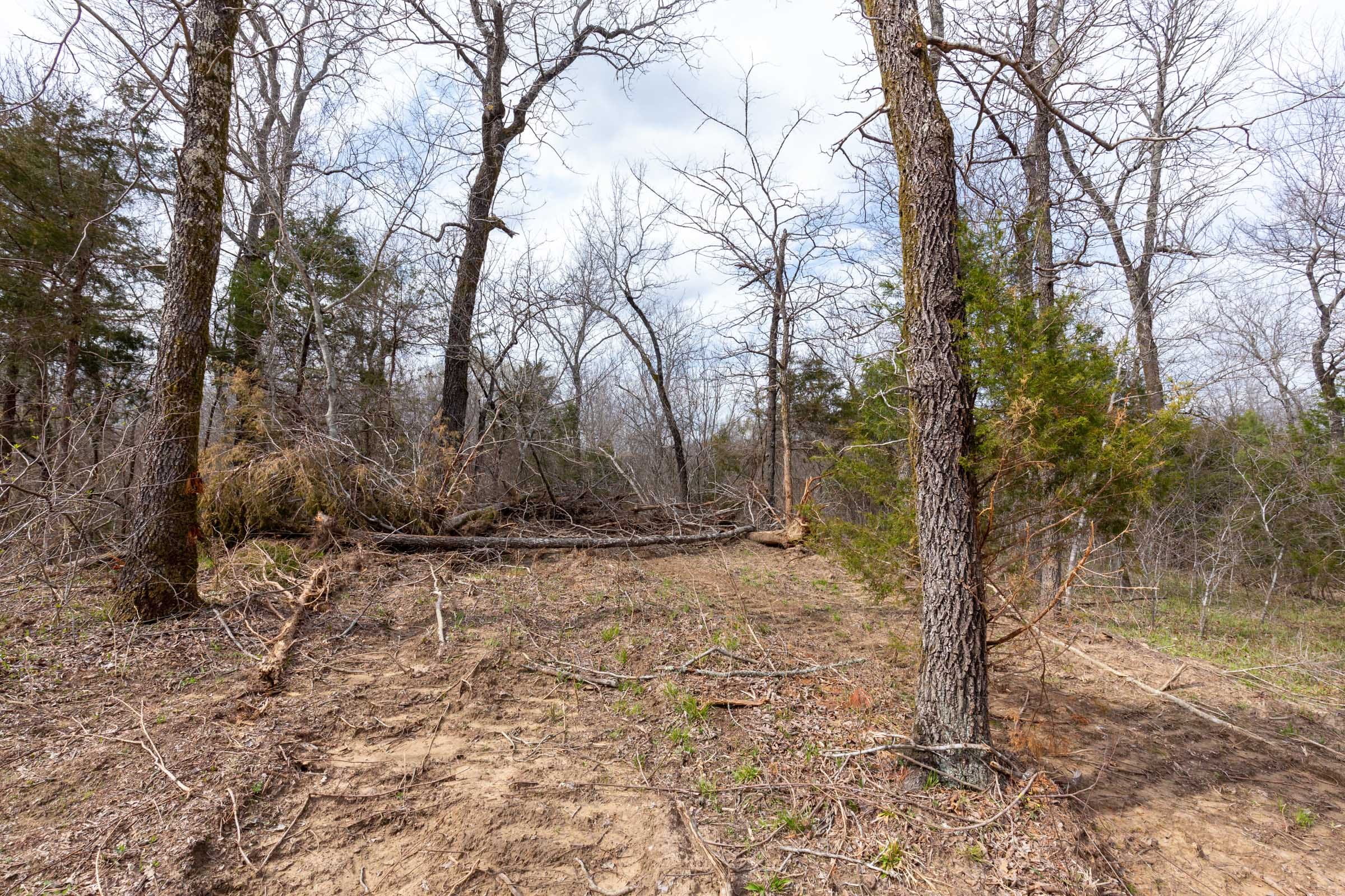 Stone Bridge Phase III Tract 154 photo 10
