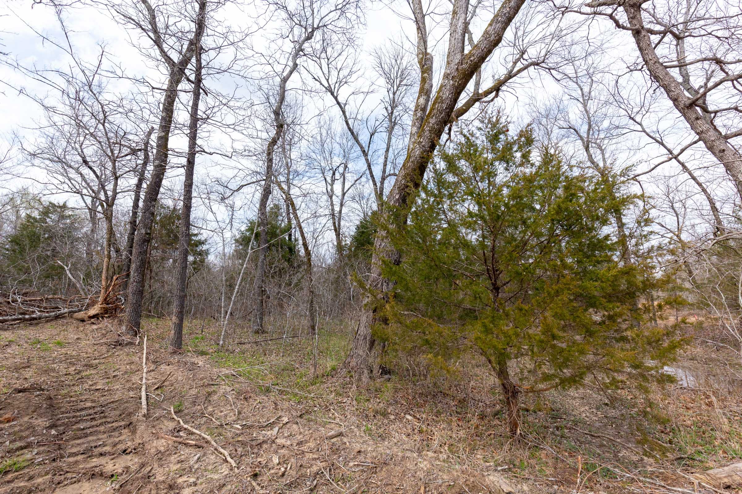 Stone Bridge Phase III Tract 154 photo 11