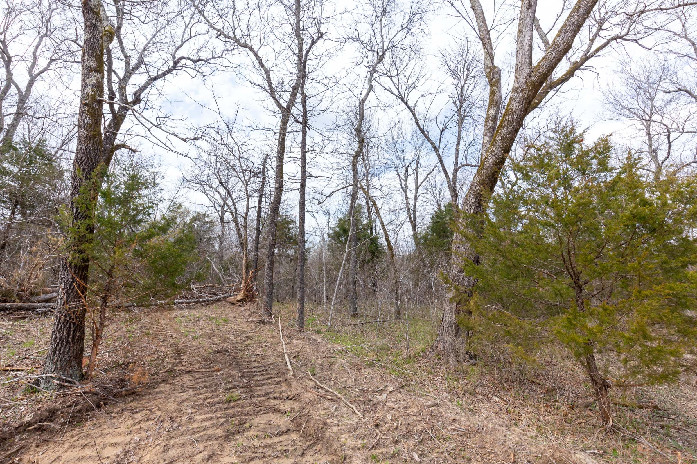 Stone Bridge Phase III Tract 154 photo 12