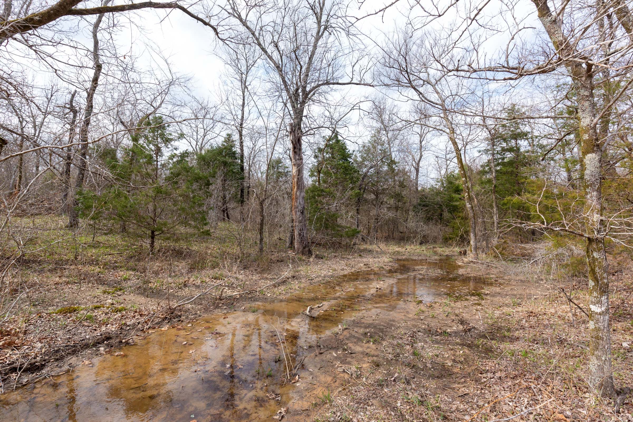 Stone Bridge Phase III Tract 154 photo 2