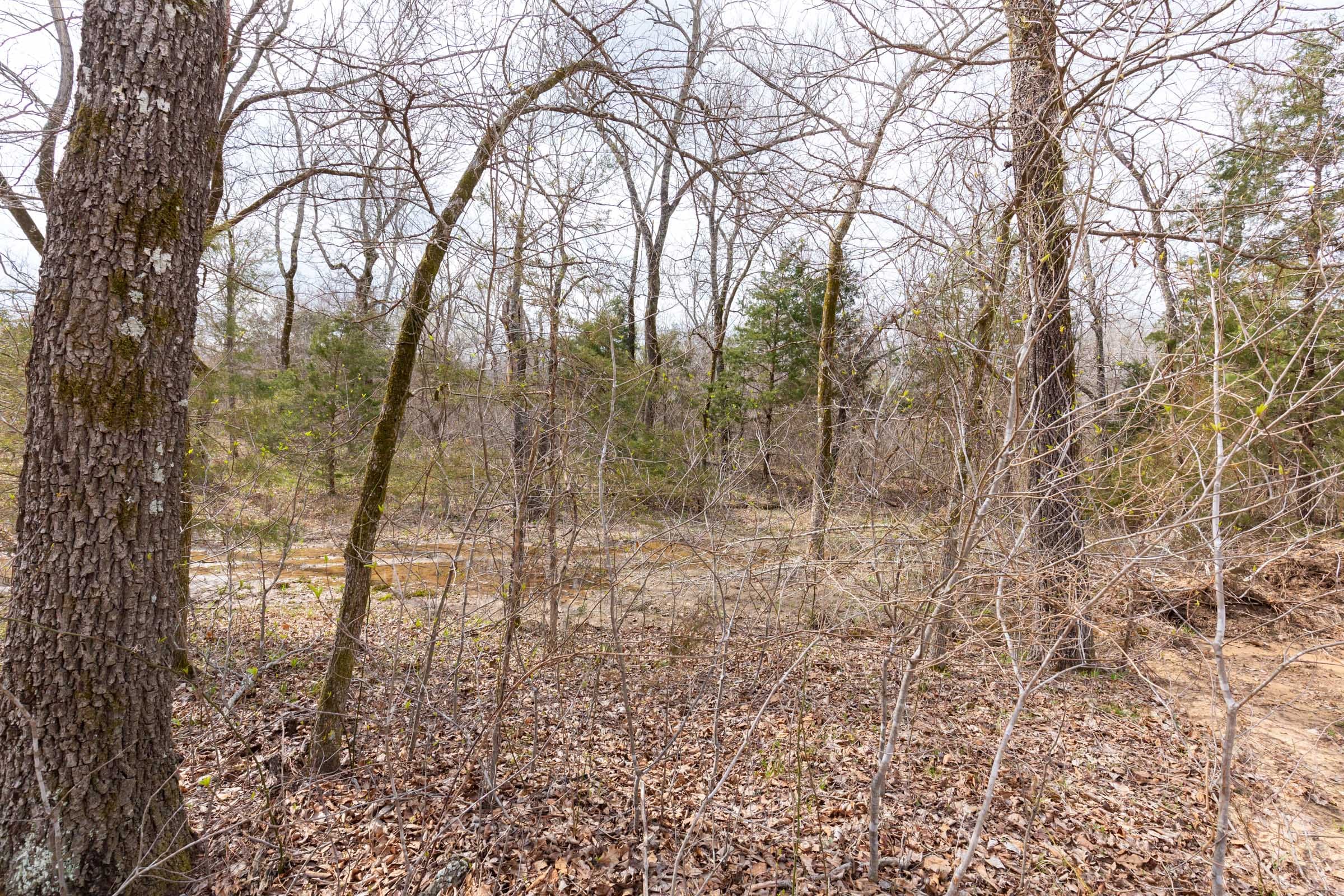 Stone Bridge Phase III Tract 154 photo 13