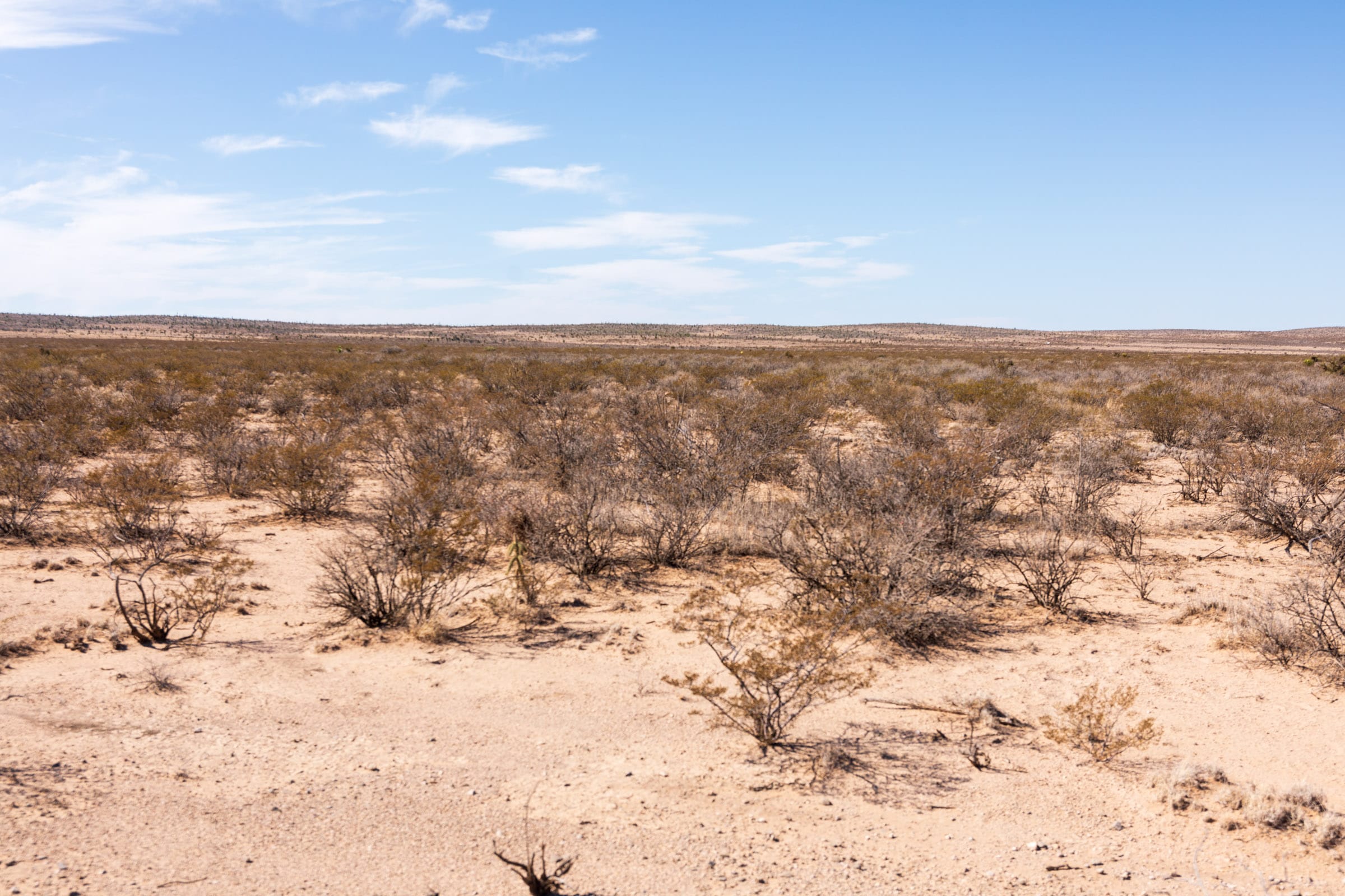 Sunrise Ranches Phase IV Tract 185 photo 19