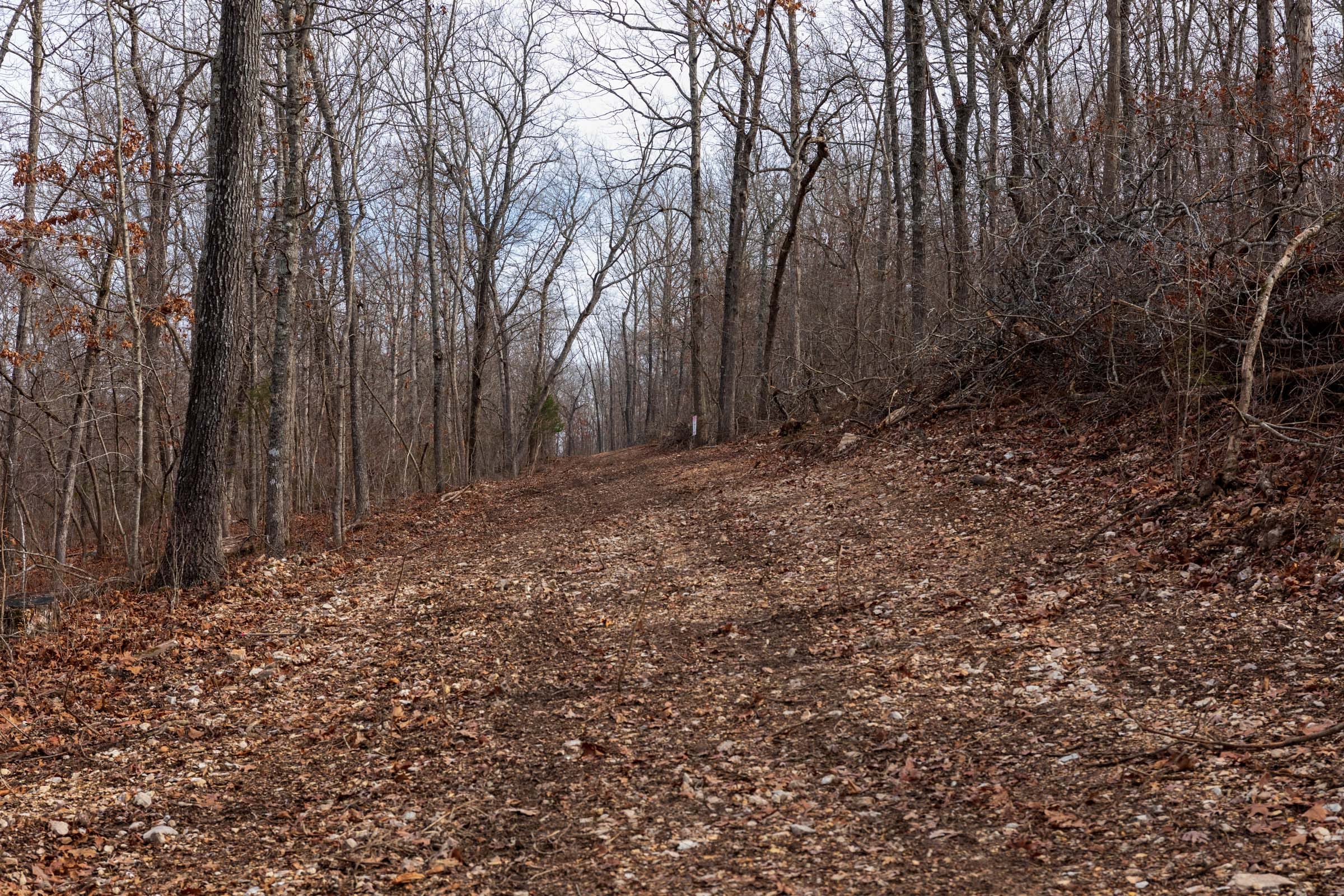 Crossroads Tract 24 photo 1