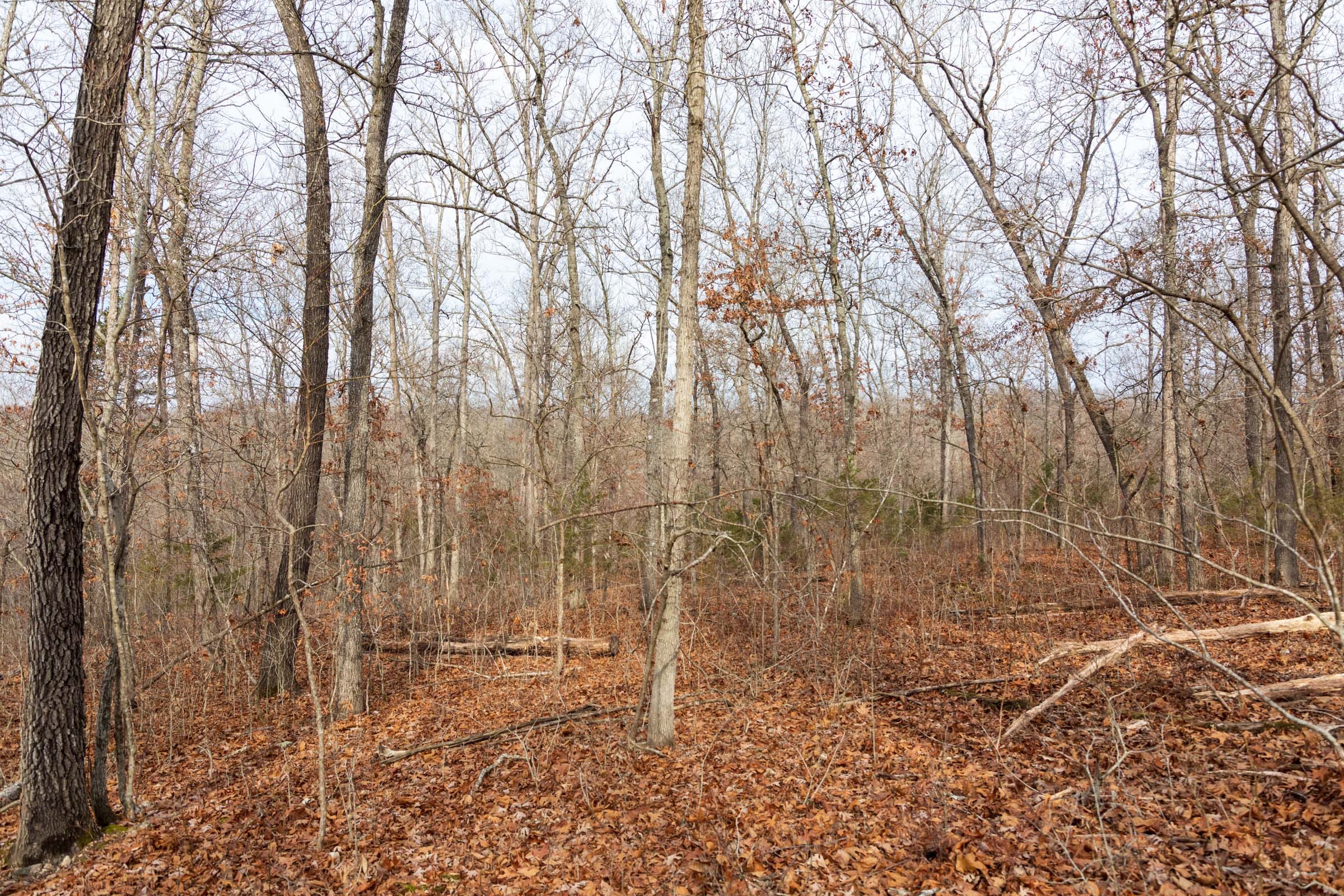 Crossroads Tract 24 photo 3