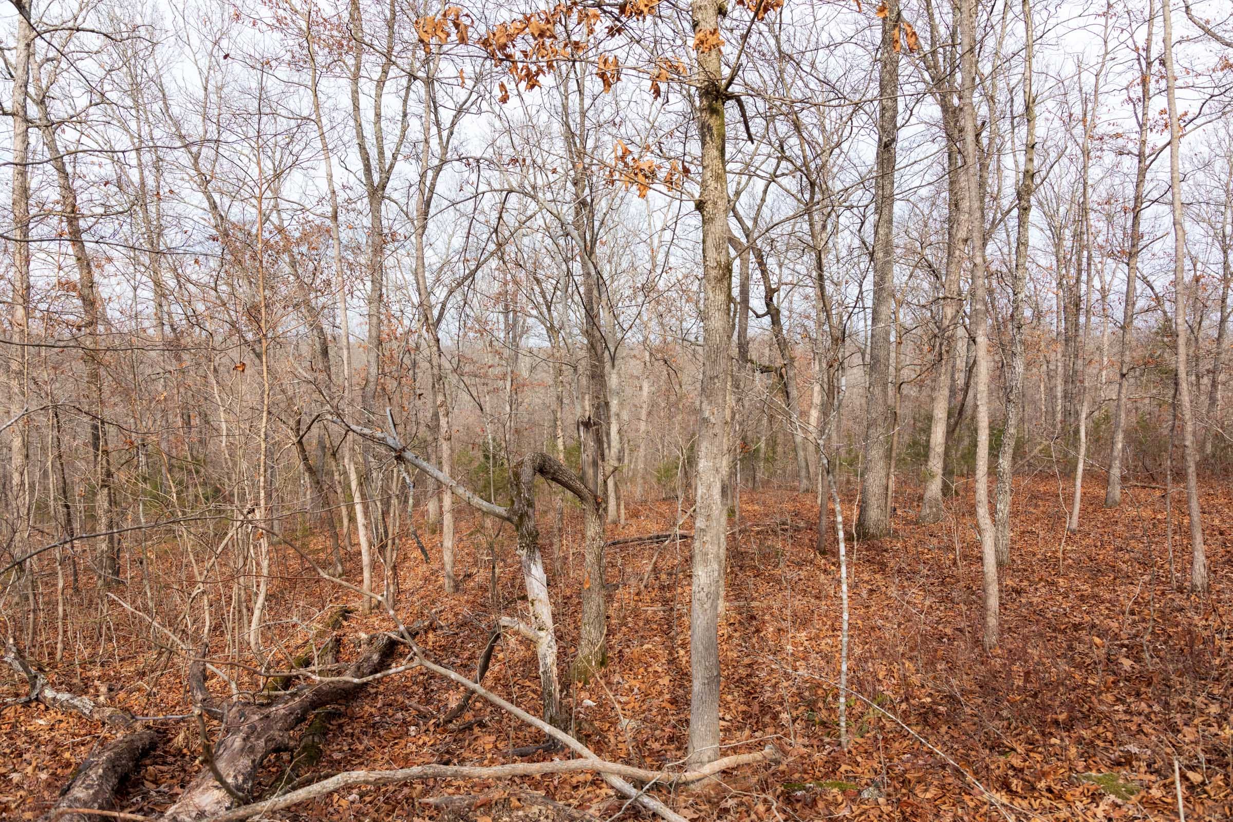 Crossroads Tract 24 photo 4