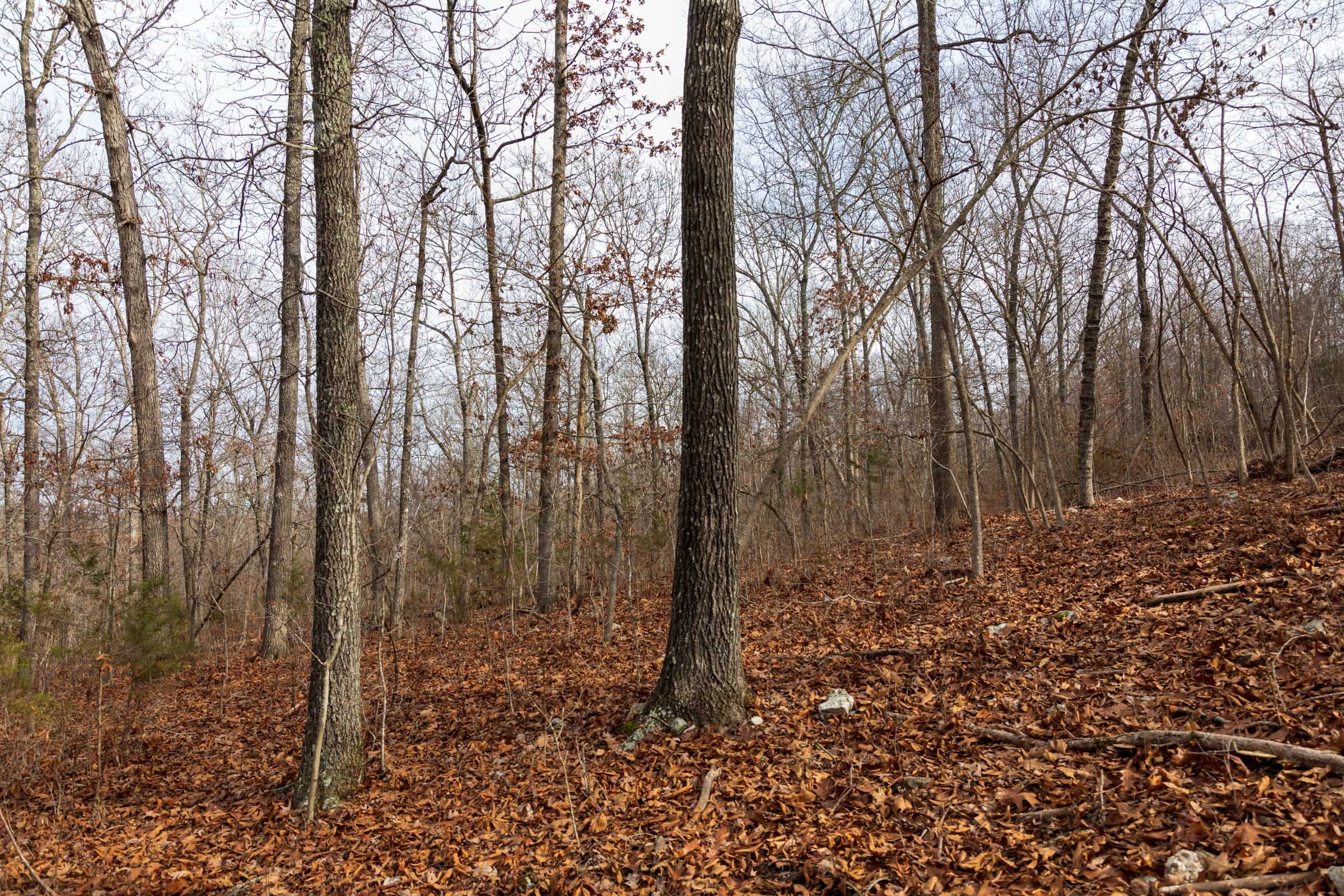 Crossroads Tract 24 photo 6