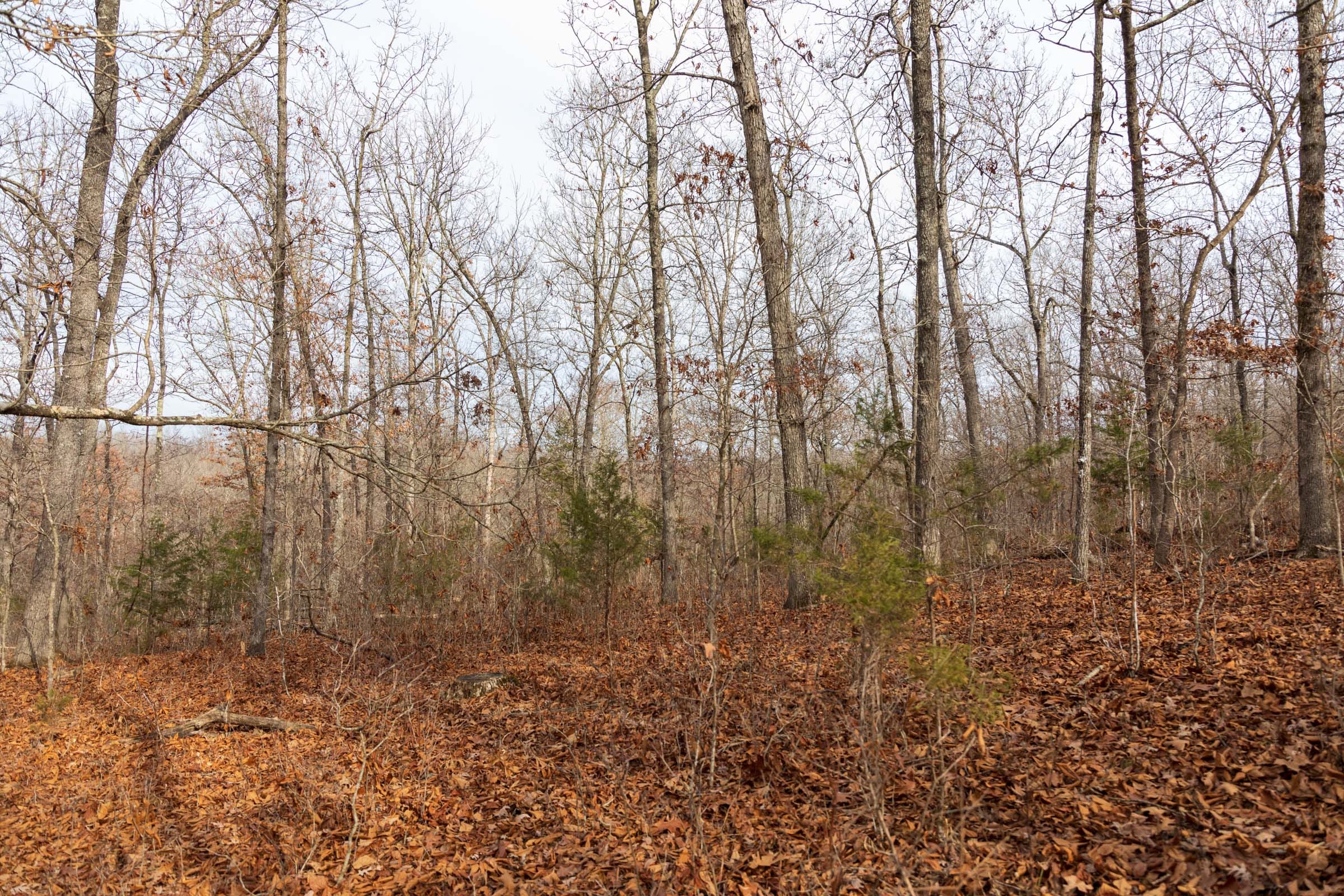 Crossroads Tract 24 photo 7
