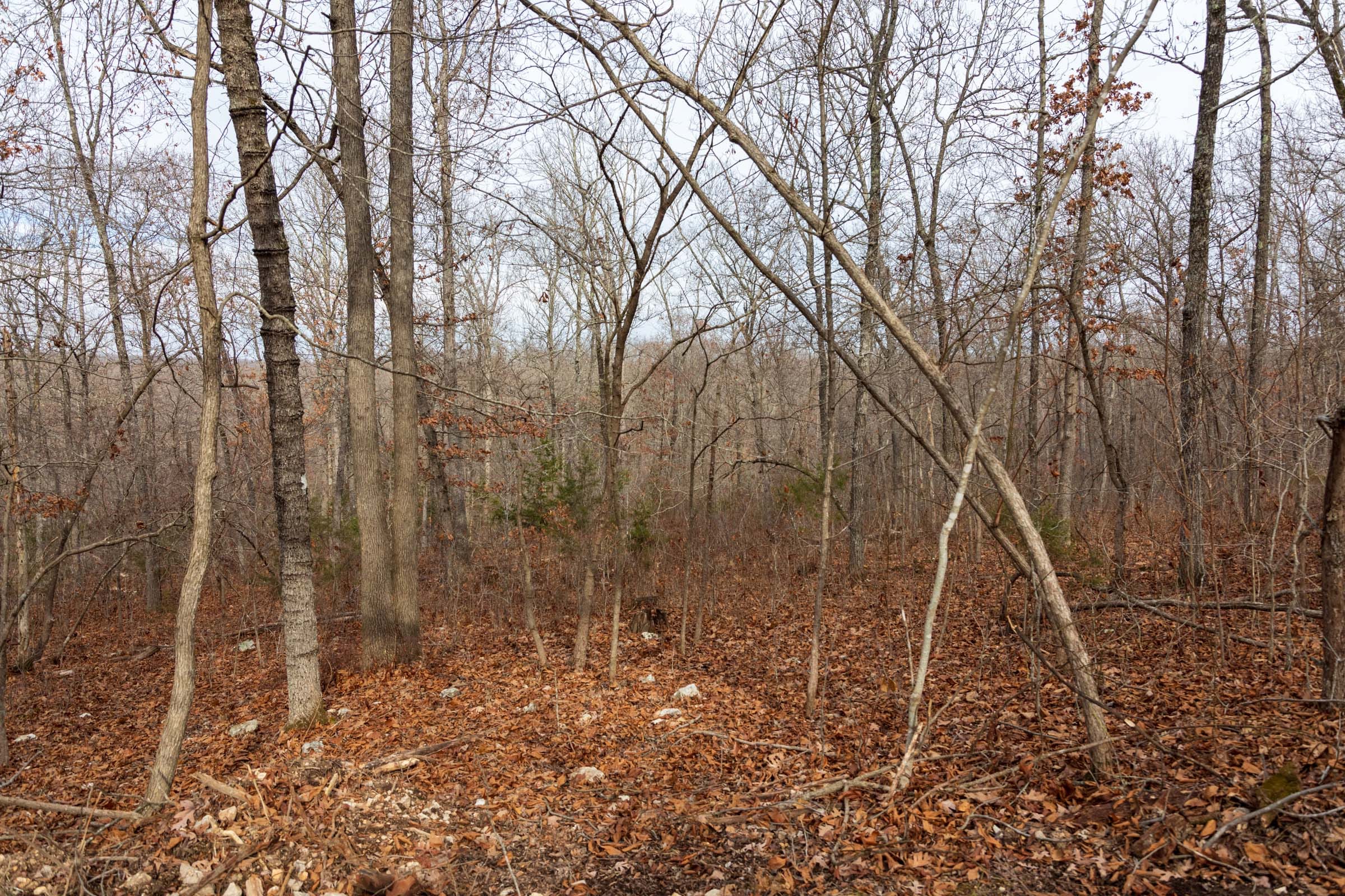 Crossroads Tract 24 photo 8