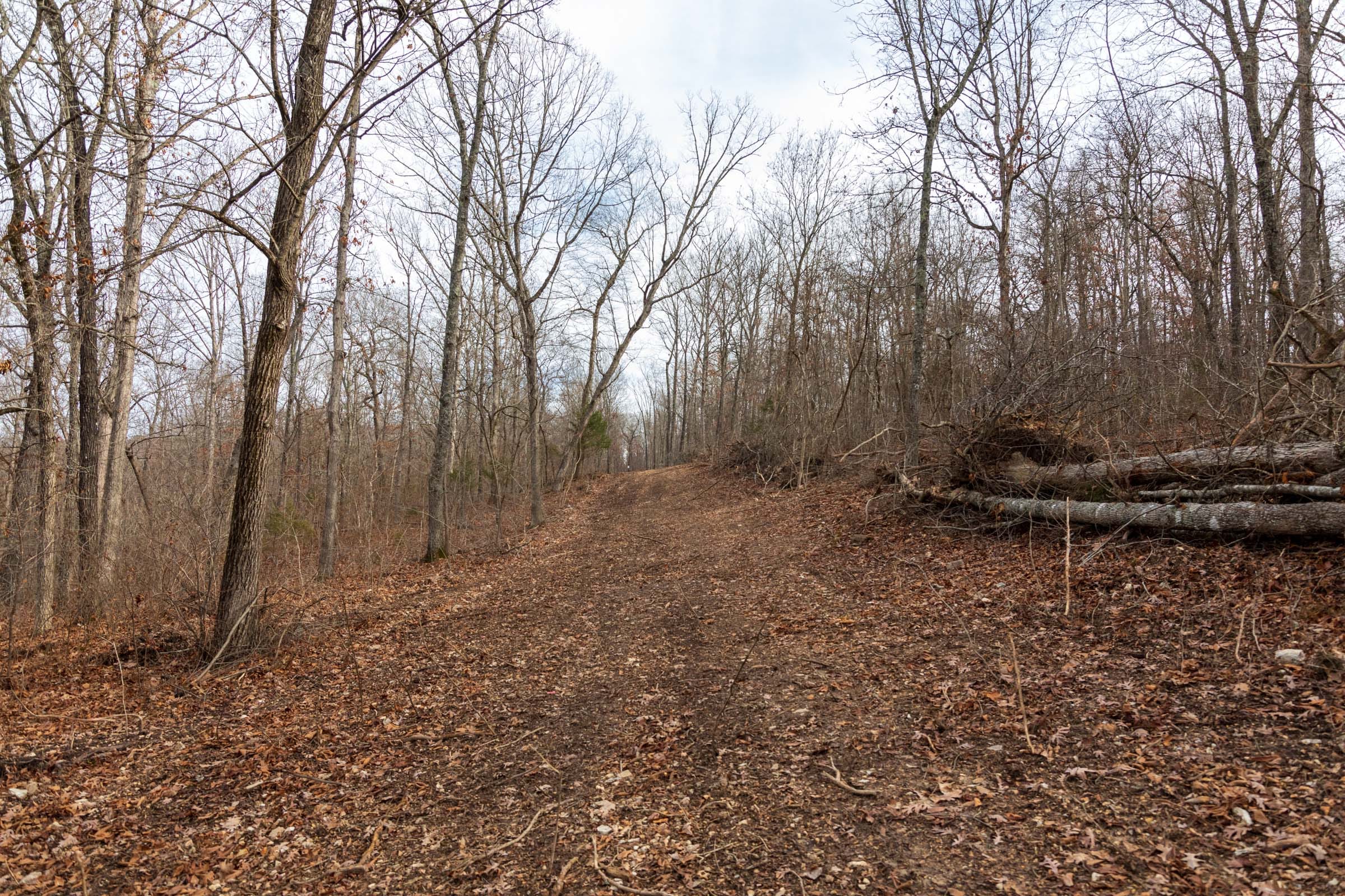 Crossroads Tract 24 photo 9