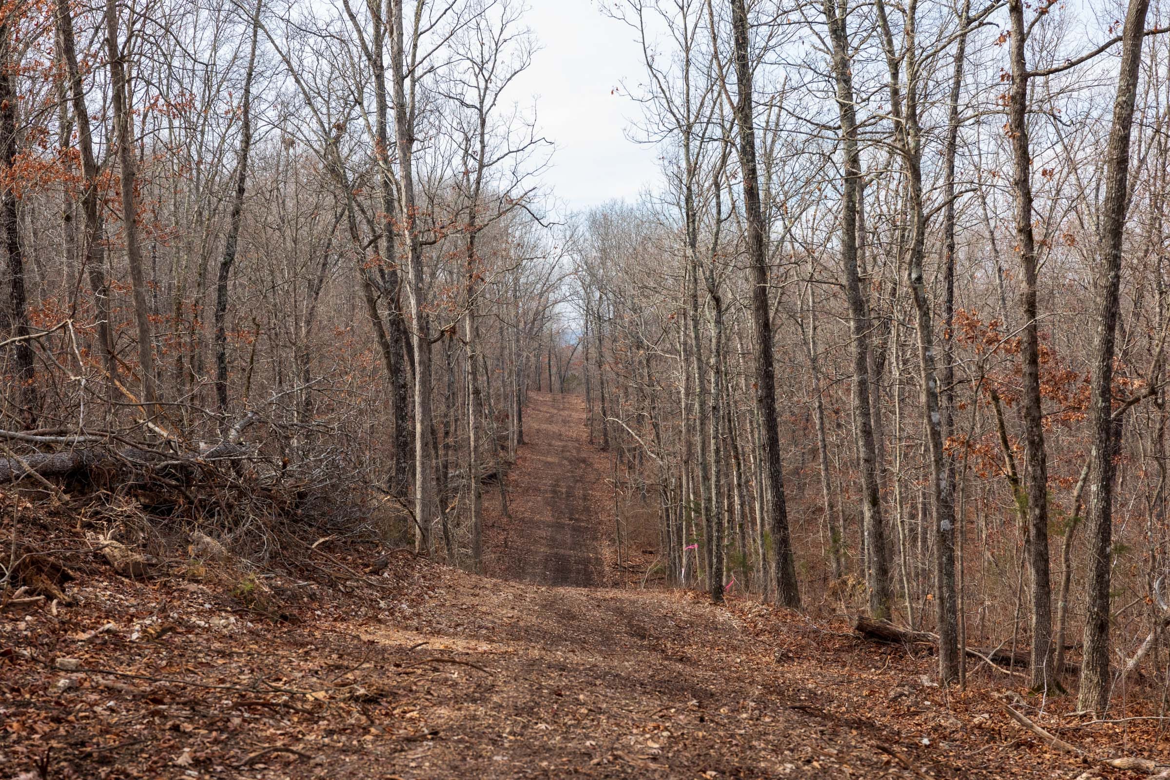 Crossroads Tract 24 photo 10