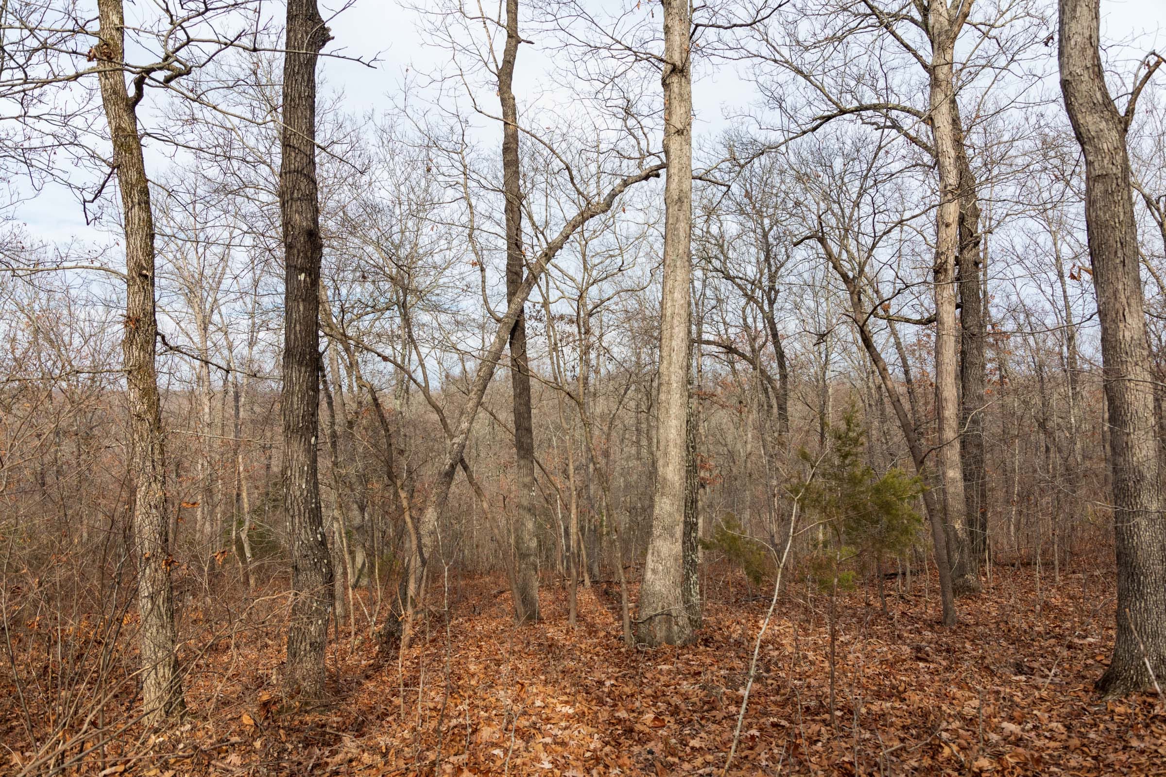 Crossroads Tract 24 photo 11