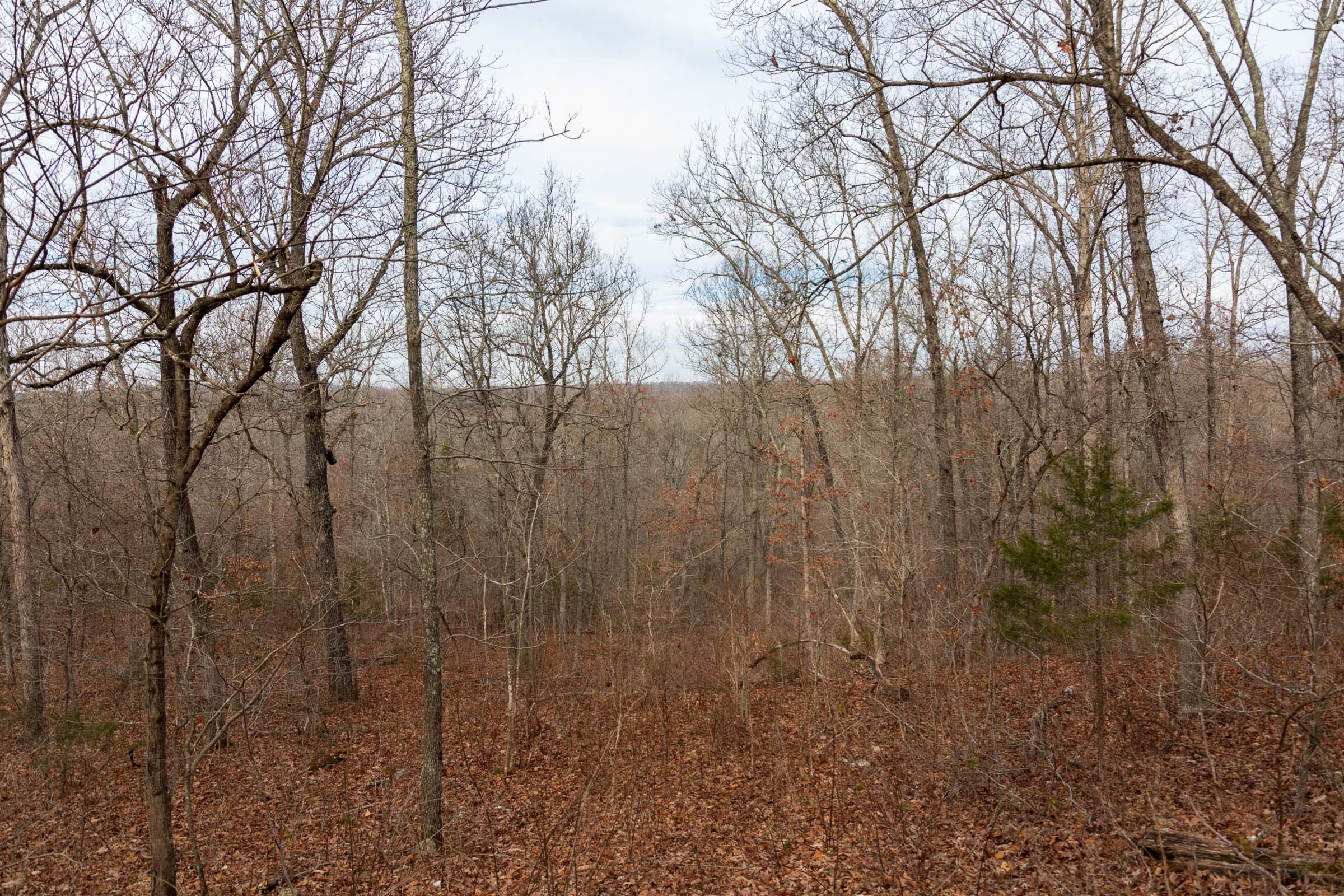 Crossroads Tract 24 photo 12