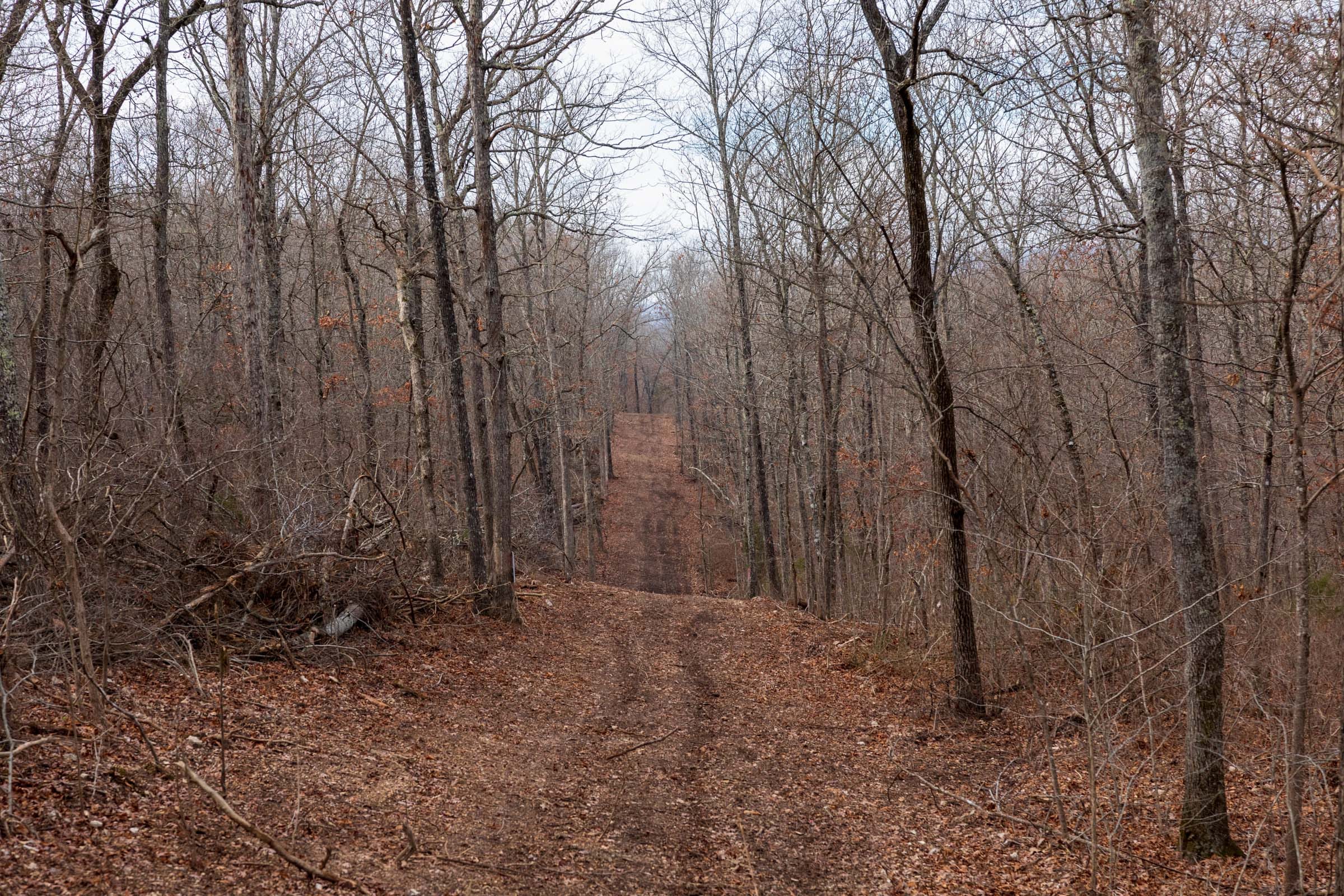 Crossroads Tract 24 photo 13