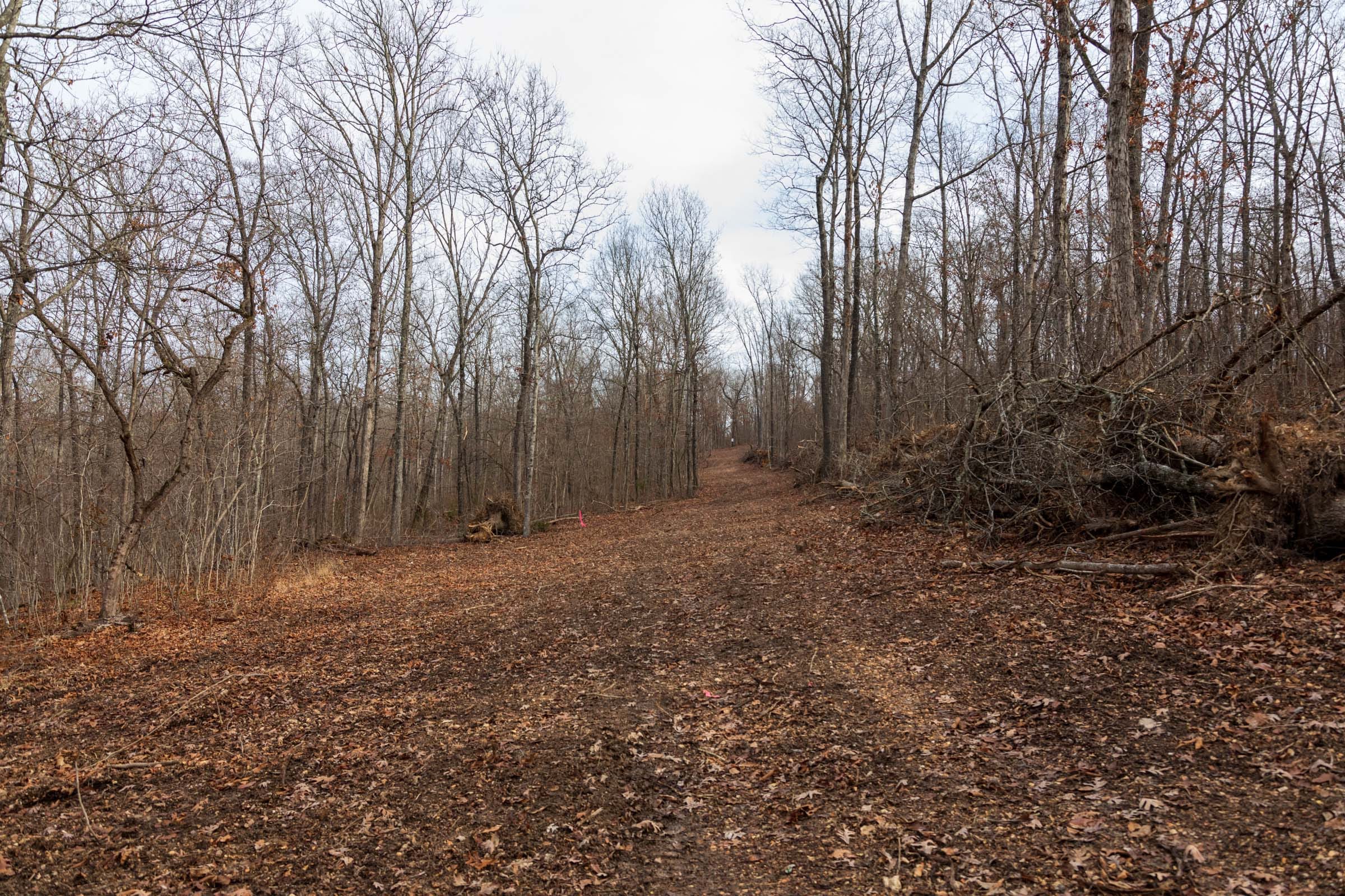 Crossroads Tract 24 photo 14