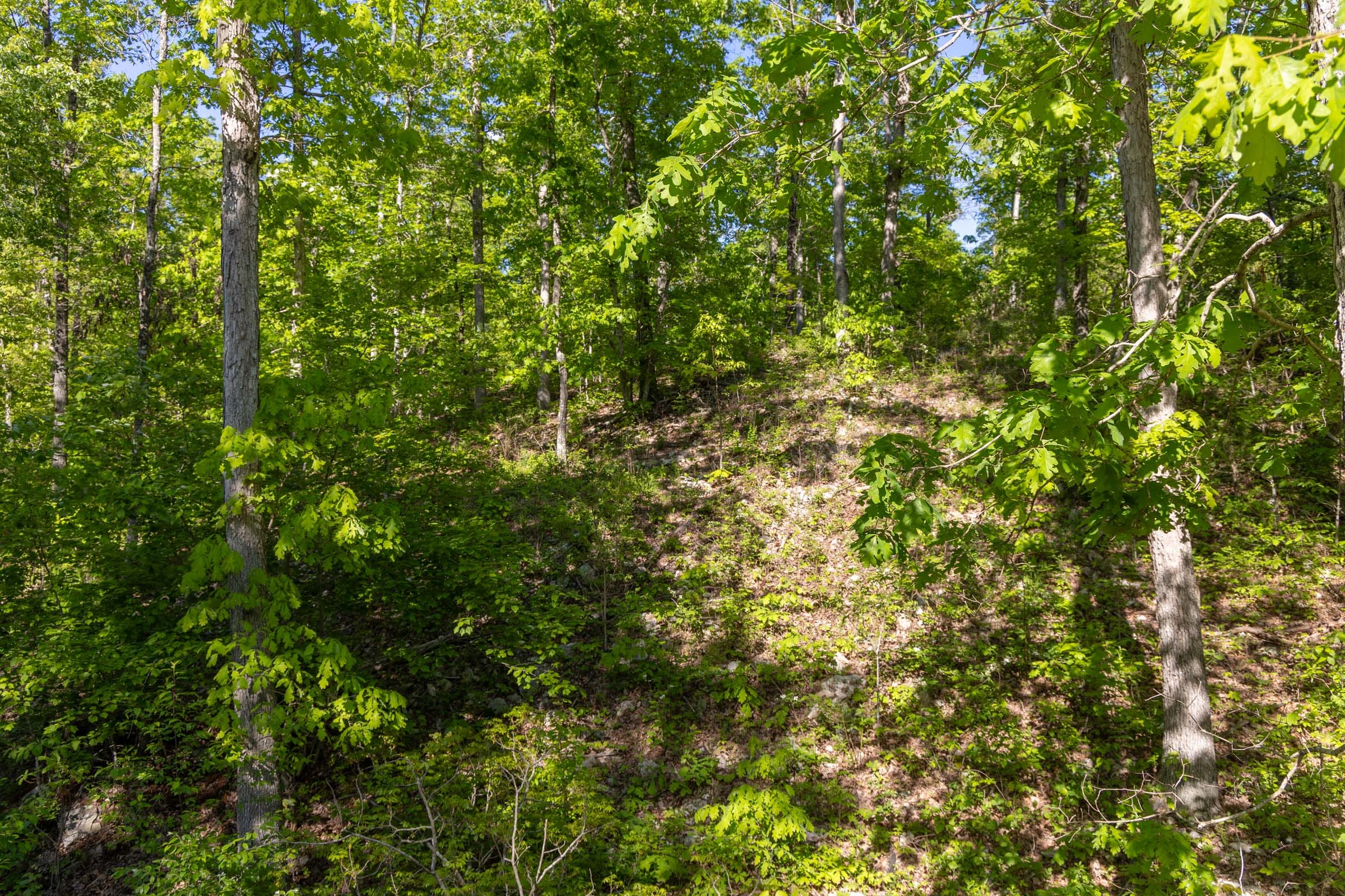 Sleepy Hollow Phase II Tract 65 photo 5