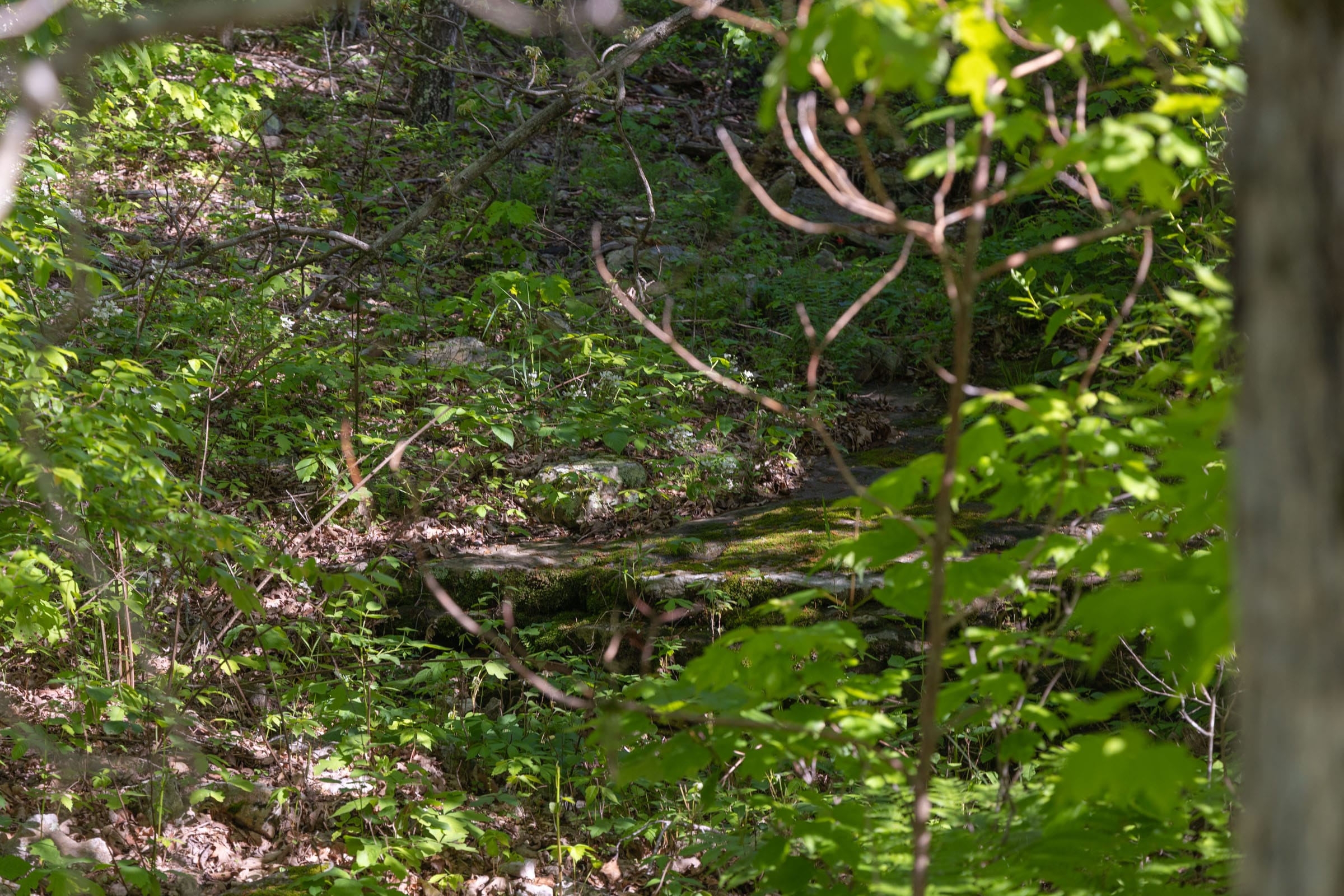 Sleepy Hollow Phase II Tract 65 photo 8