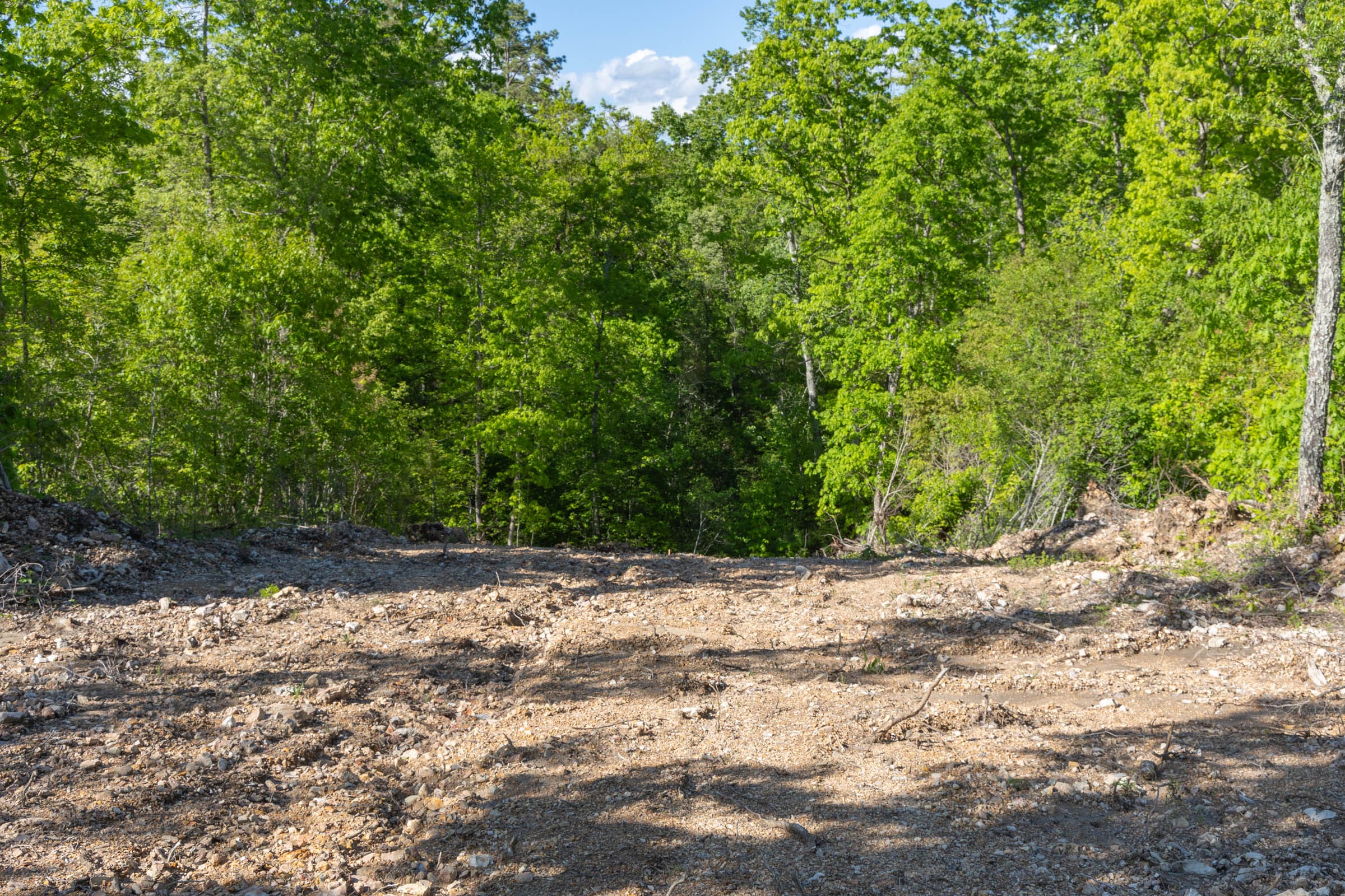 Sleepy Hollow Phase II Tract 65 photo 9