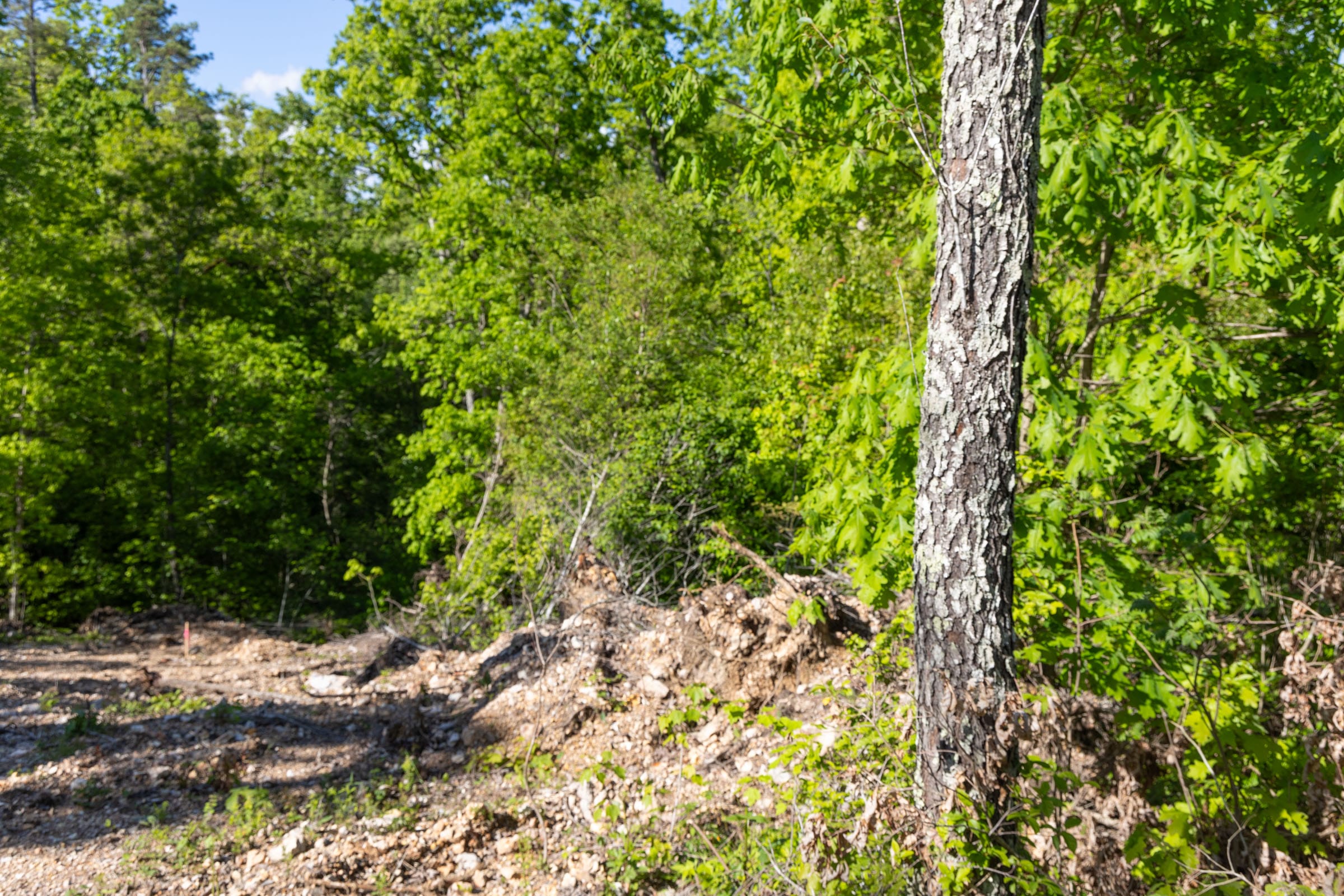 Sleepy Hollow Phase II Tract 65 photo 2
