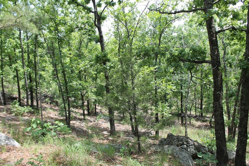 Indian Ridge – Phase II Tract 56 photo 3