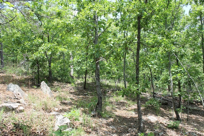 Indian Ridge – Phase II Tract 56 photo 4