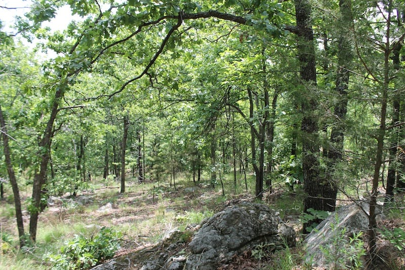 Indian Ridge – Phase II Tract 56 photo 5