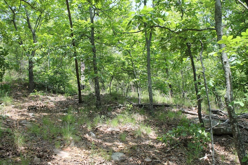 Indian Ridge – Phase II Tract 56 photo 6
