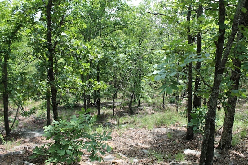 Indian Ridge – Phase II Tract 56 photo 8